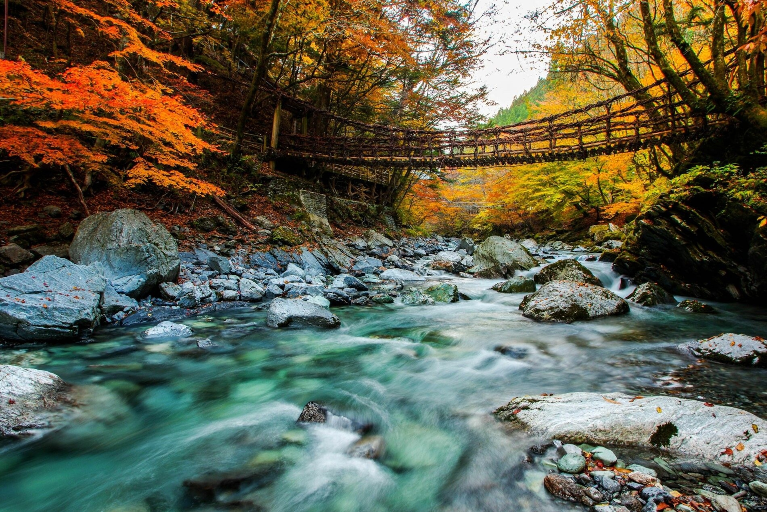 A vine bridge over the top of Iya River, Japan. These bridges are typical of the area and made from several tons of wisteria vines that are gathered from the surrounding mountains.