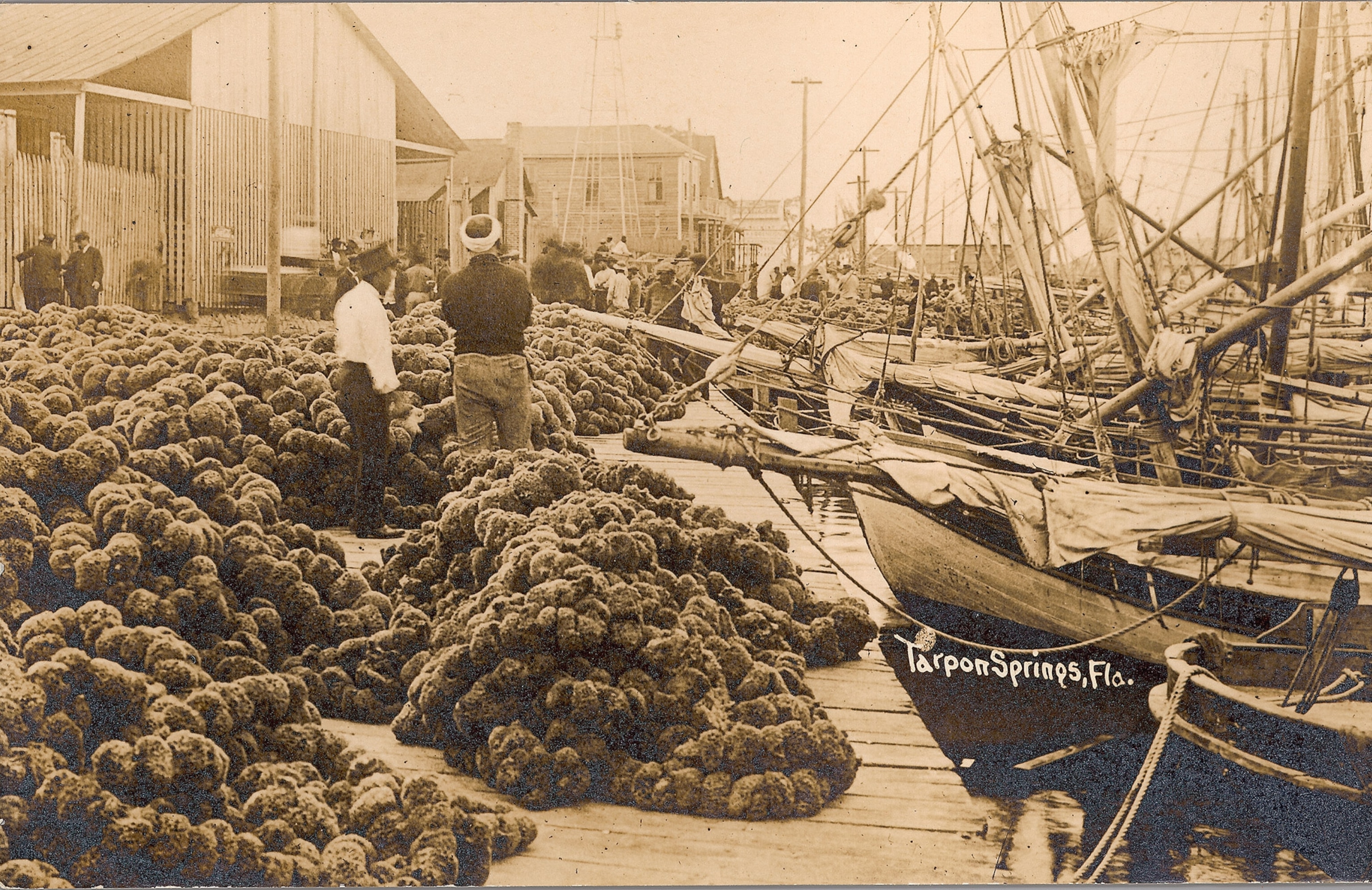 An archival sepia black and white image of a boat dock covered with mounds of sponges, two men stand facing away