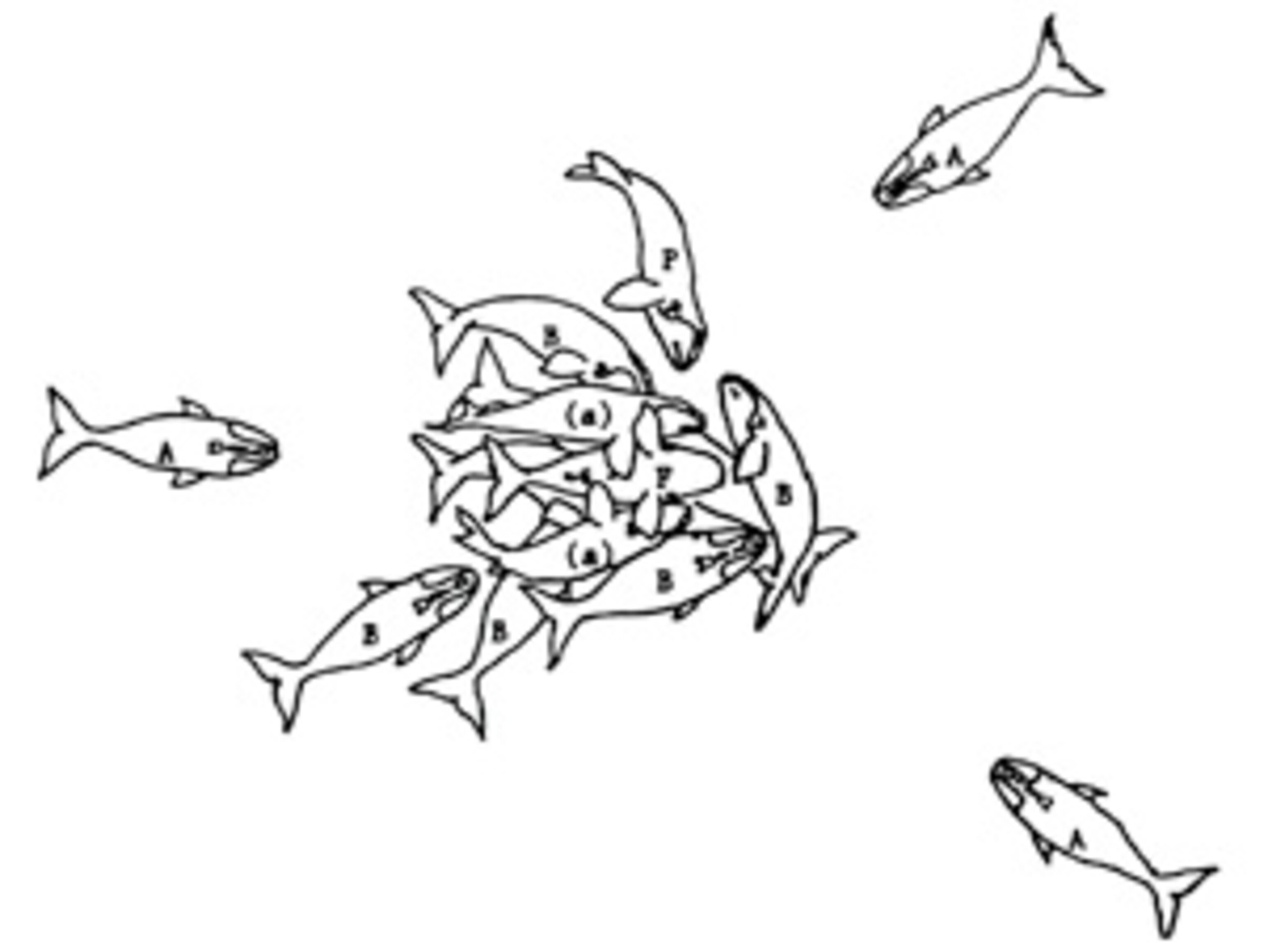 Kraus-and-Hatch-crop