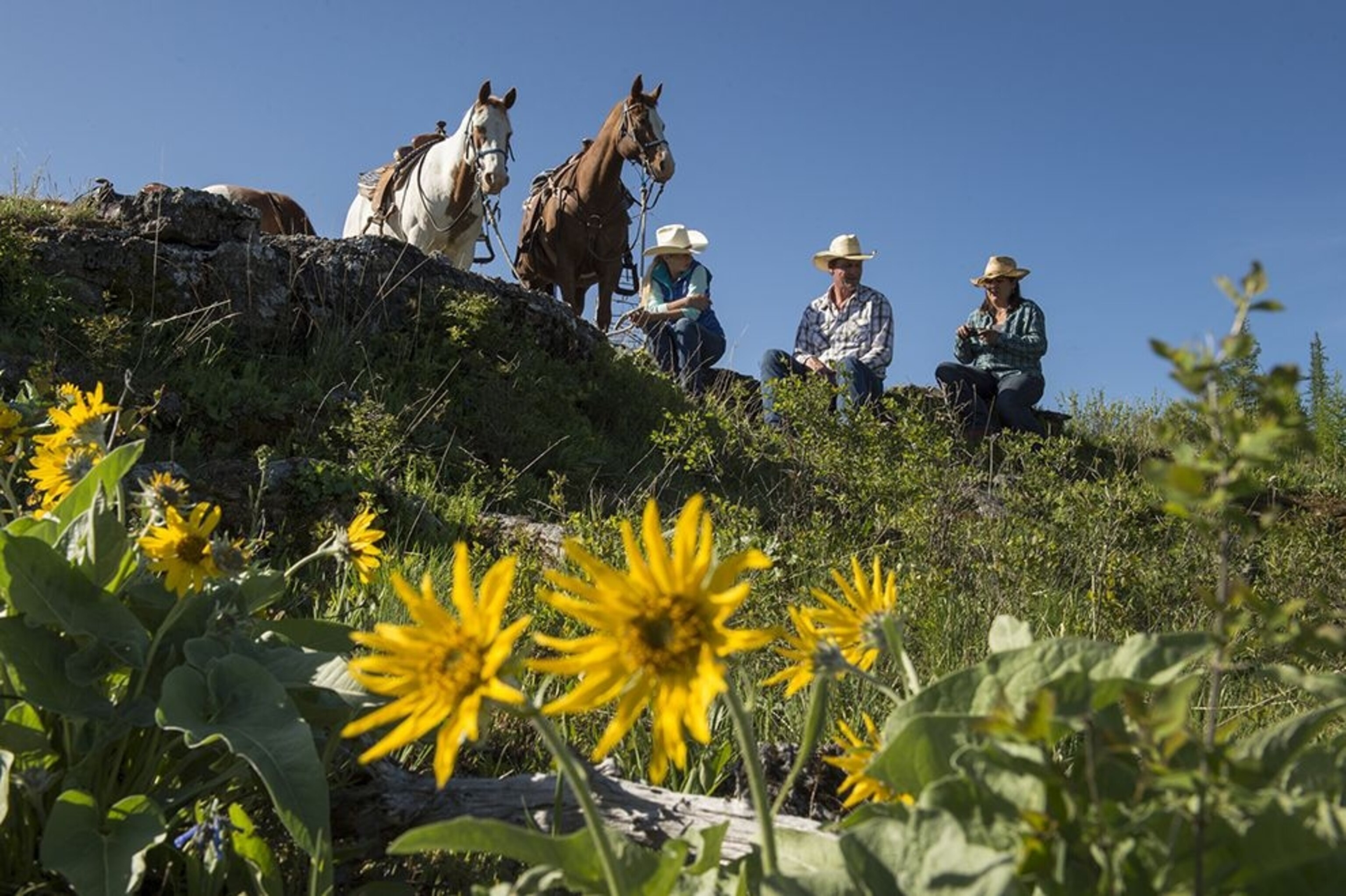 Cowboys in Kalispell