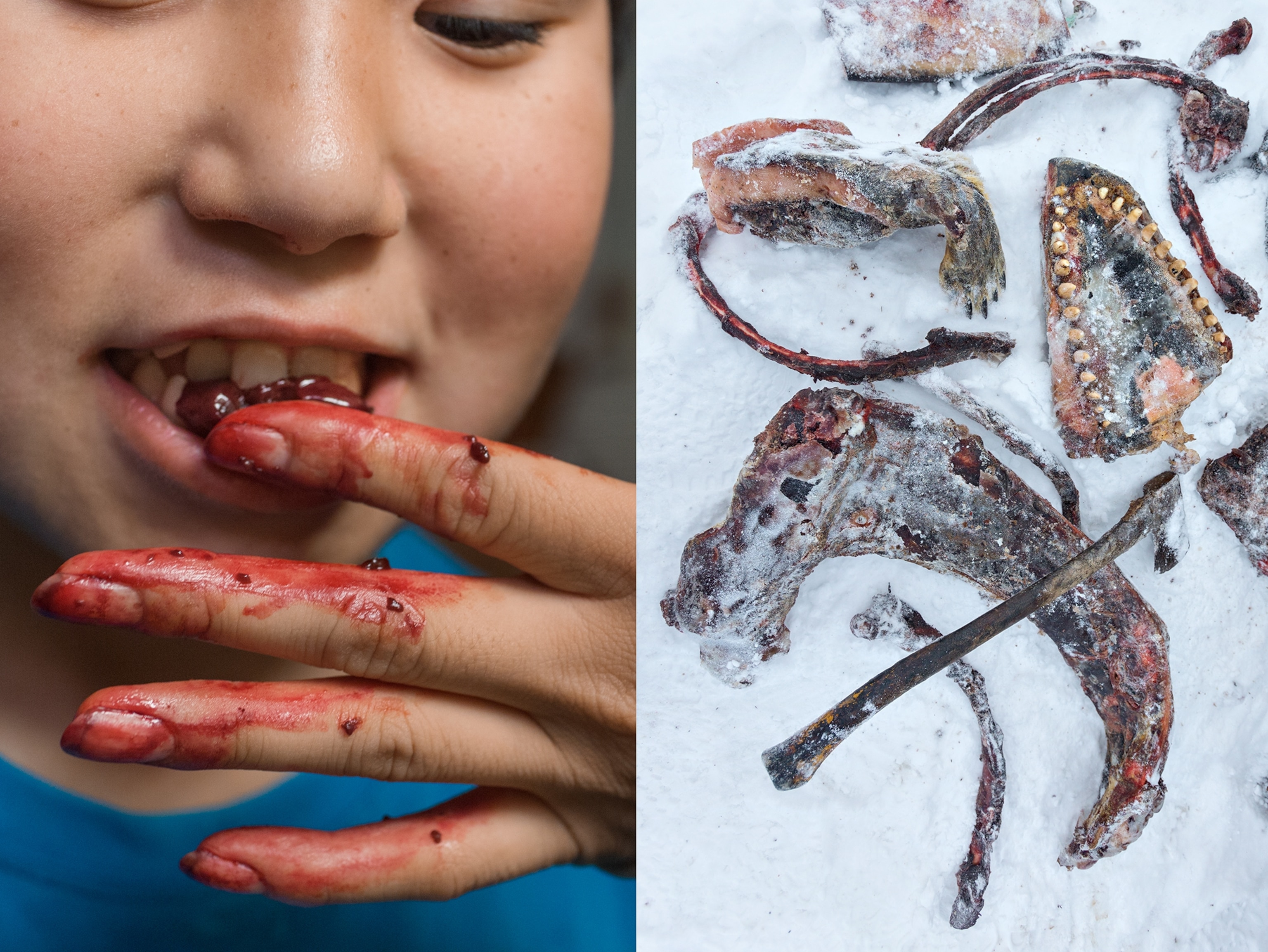 First Photo: An Inuit girl feeds her brother a bit of liver from a seal their father has just caught. Isortoq, Greenland. Second Photo: The meat, ribs, and jaw of a killer whale and the fore flipper of a bearded seal stay frozen in an outdoor shed. Isortoq, Greenland.