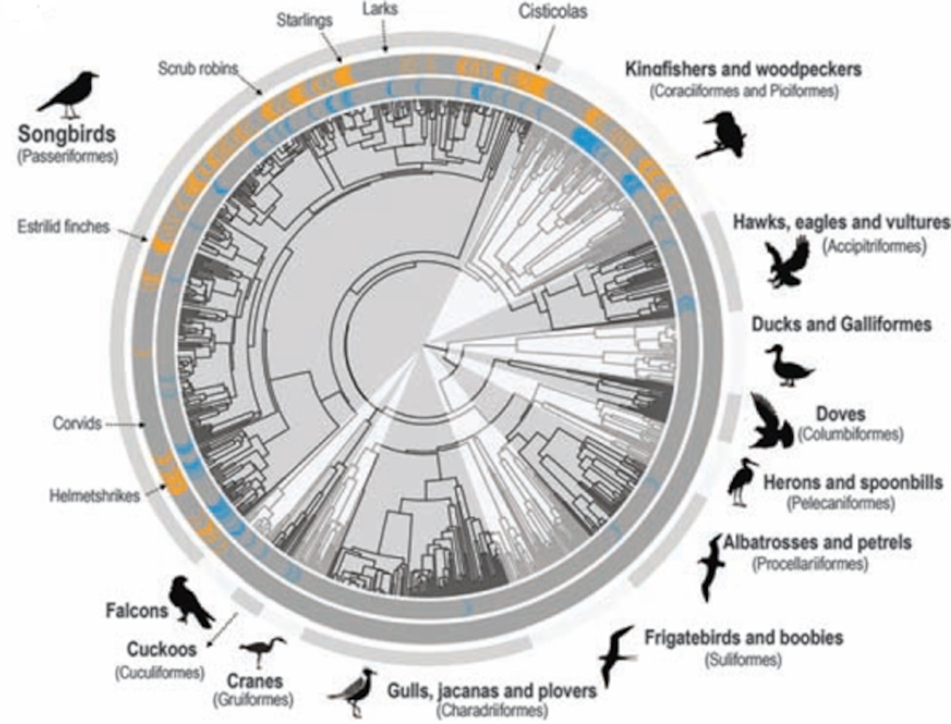 Credit: Feeney et al, 2013. Science.