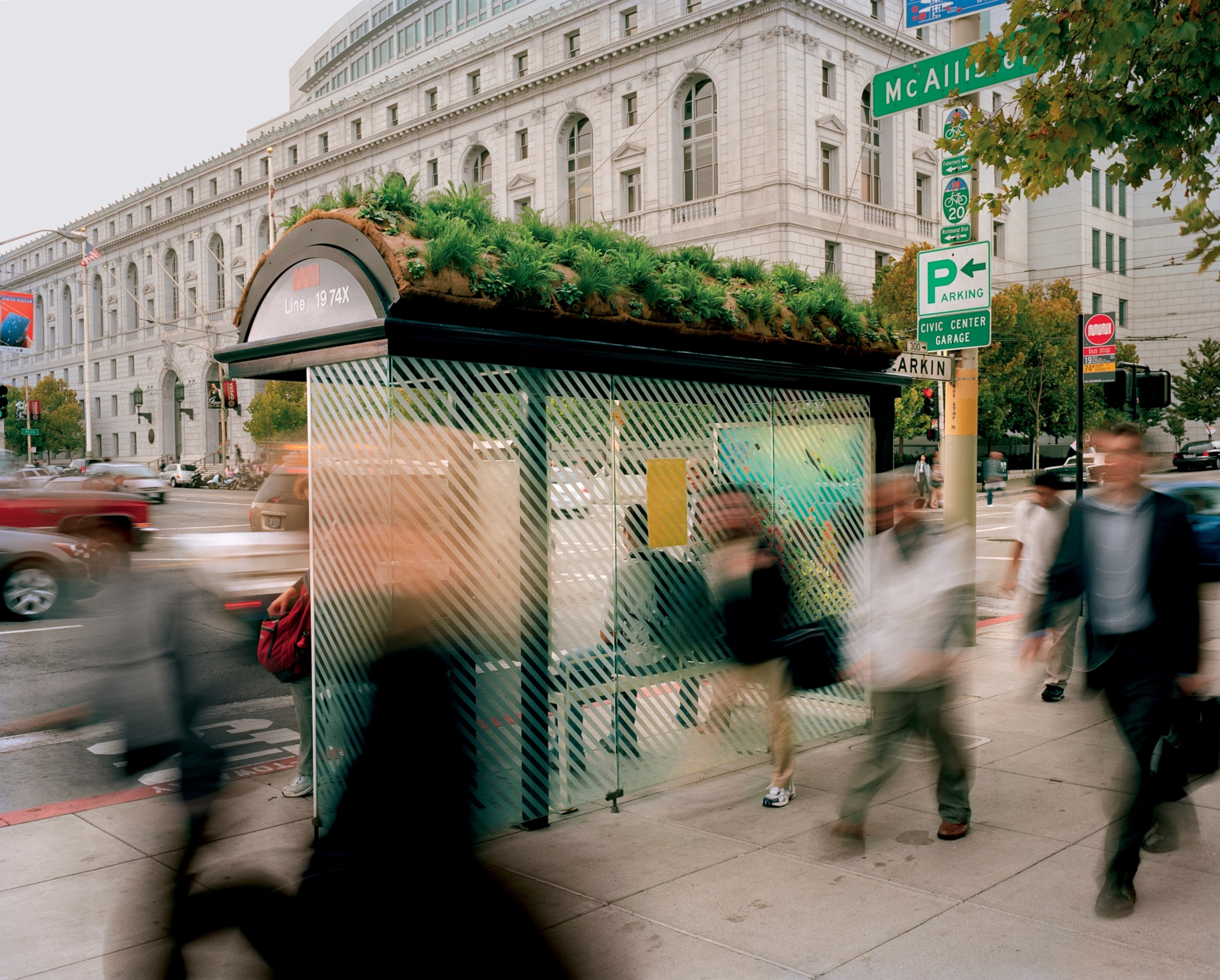 a San Francisco bus shelter's green roof