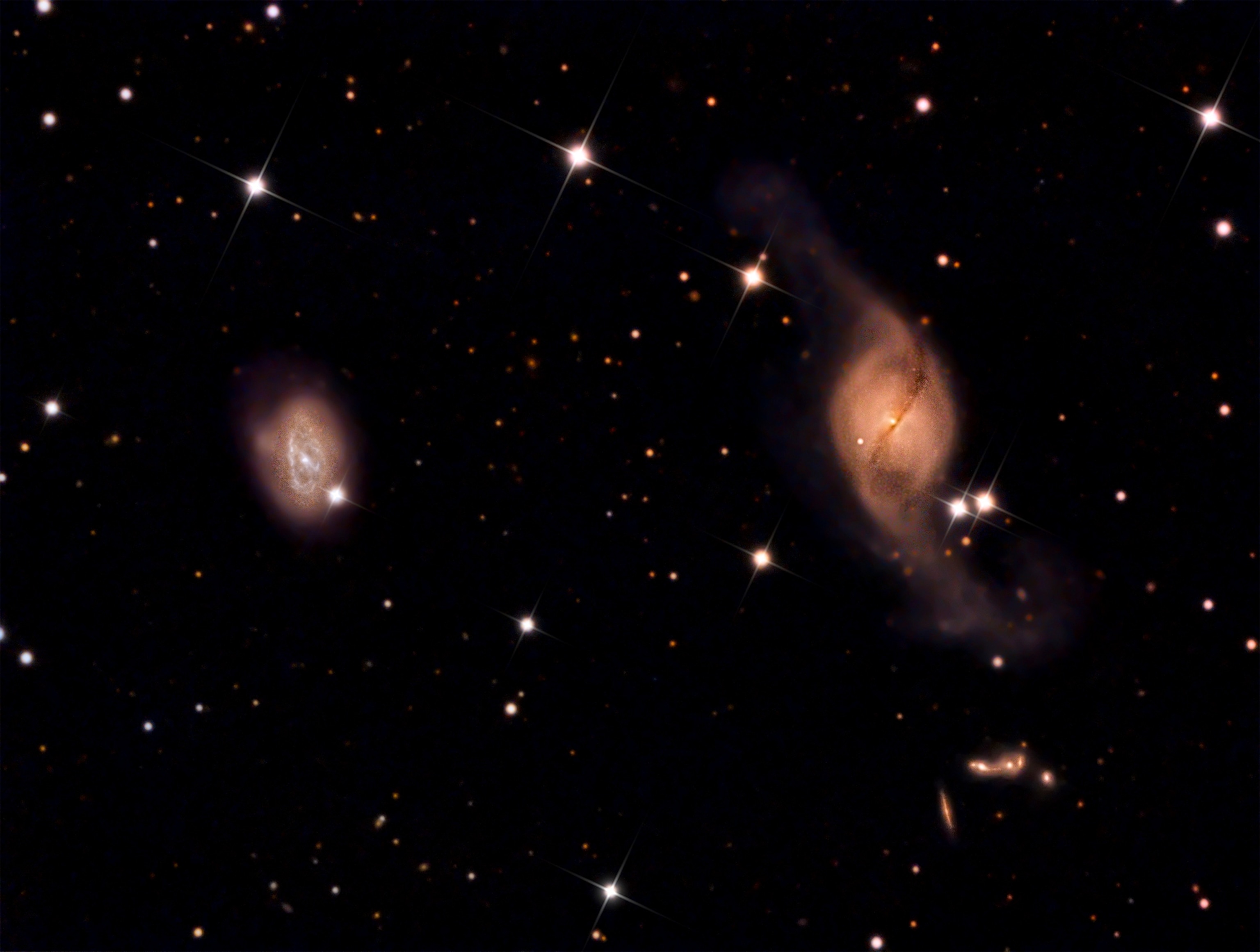a cherry blossom tree in Japan, against the night sky.