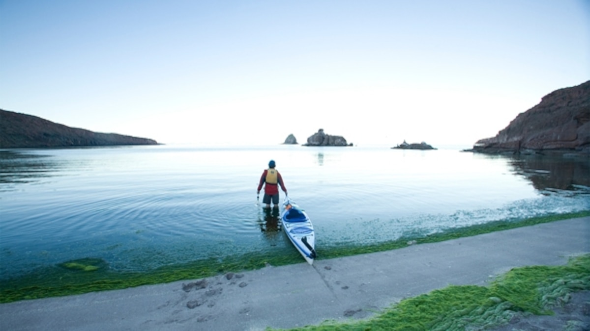 Adventure 101 Sea Kayaking Baja