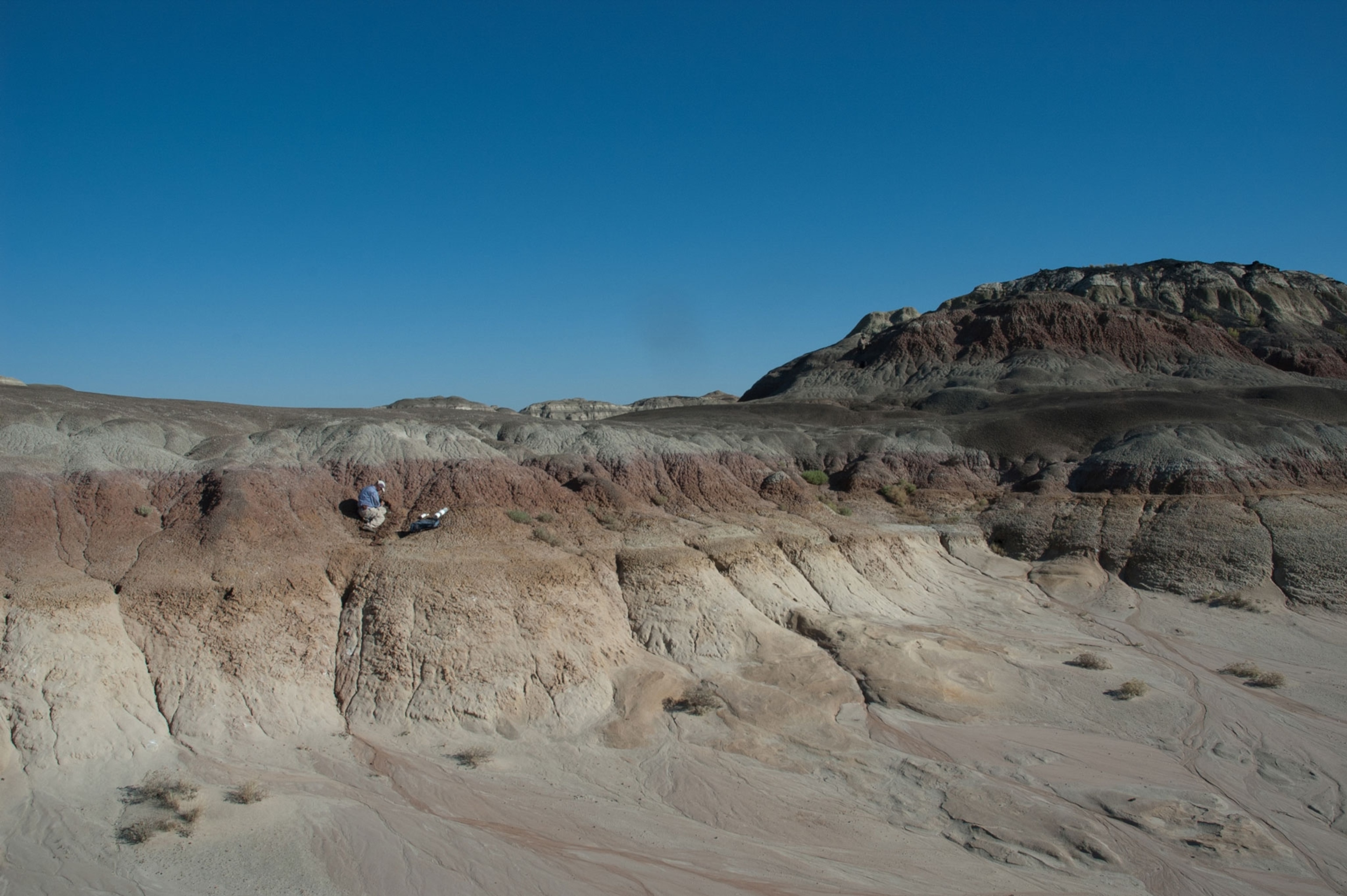 Daniel Peppe collects samples from the first rocks after the dinosaur extinction in the San Juan Basin of northwestern New Mexico.