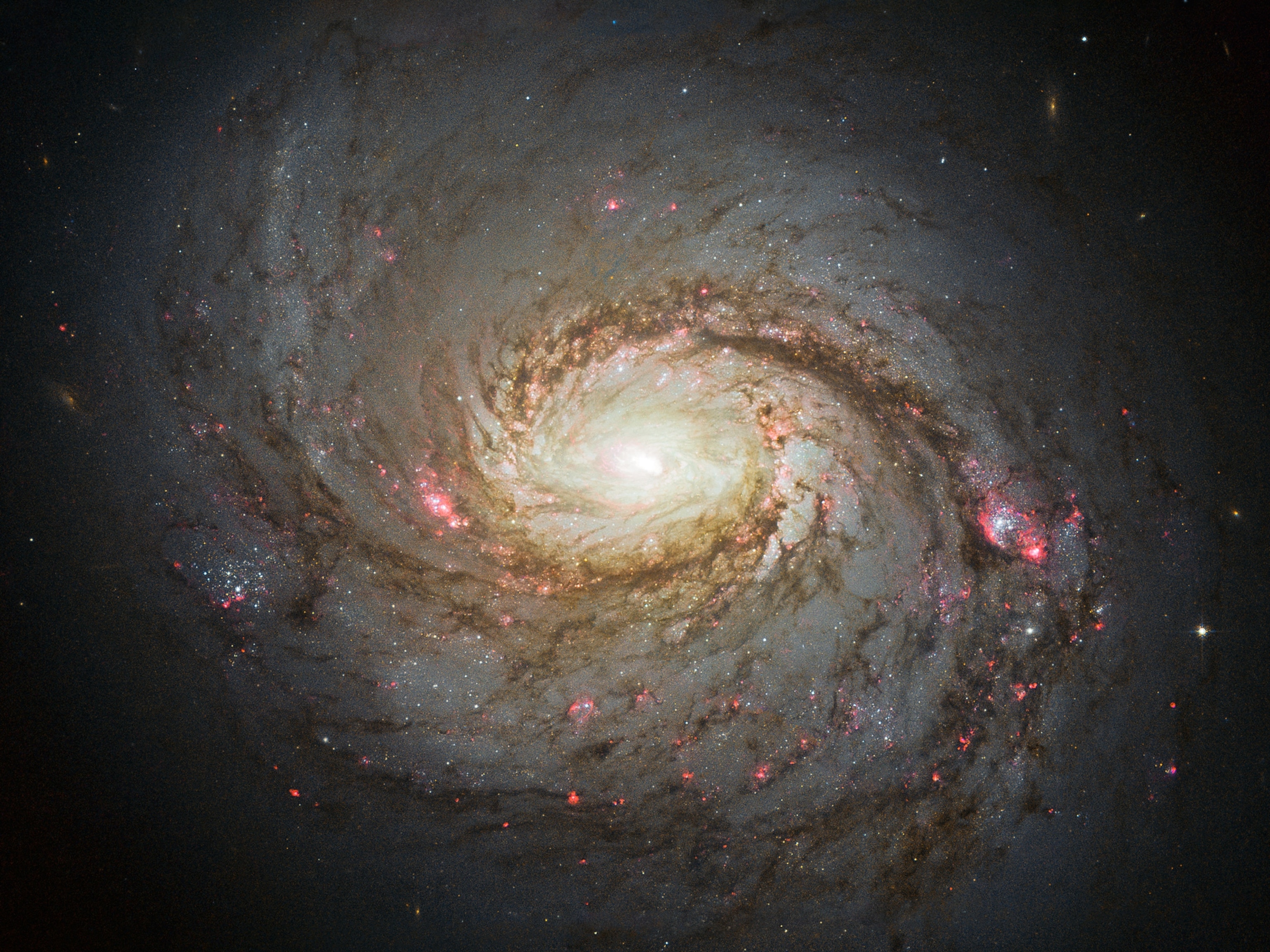 Messier 77, a galaxy 45 million light-years from Earth
