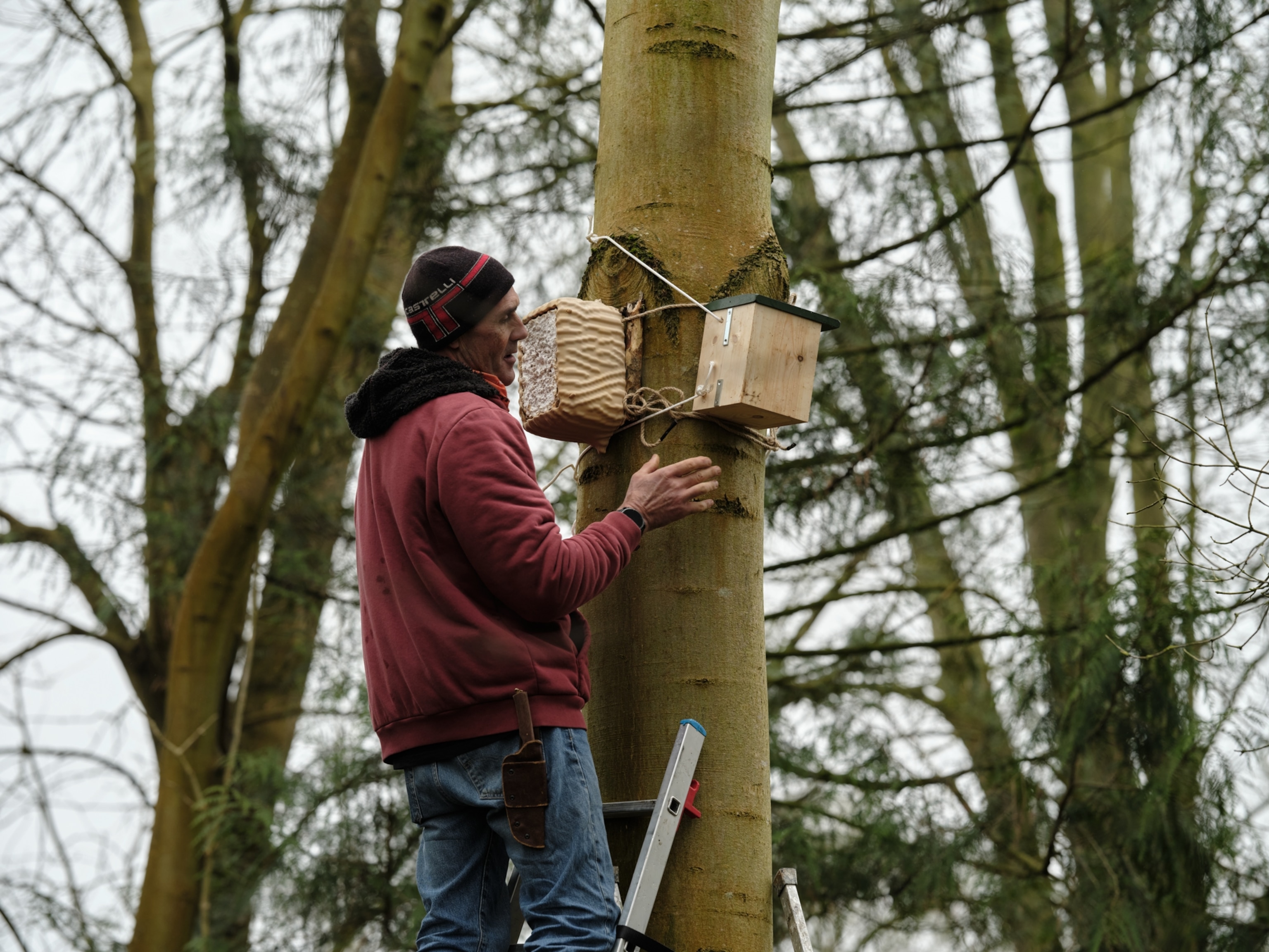A man puts two boxes in a tree.