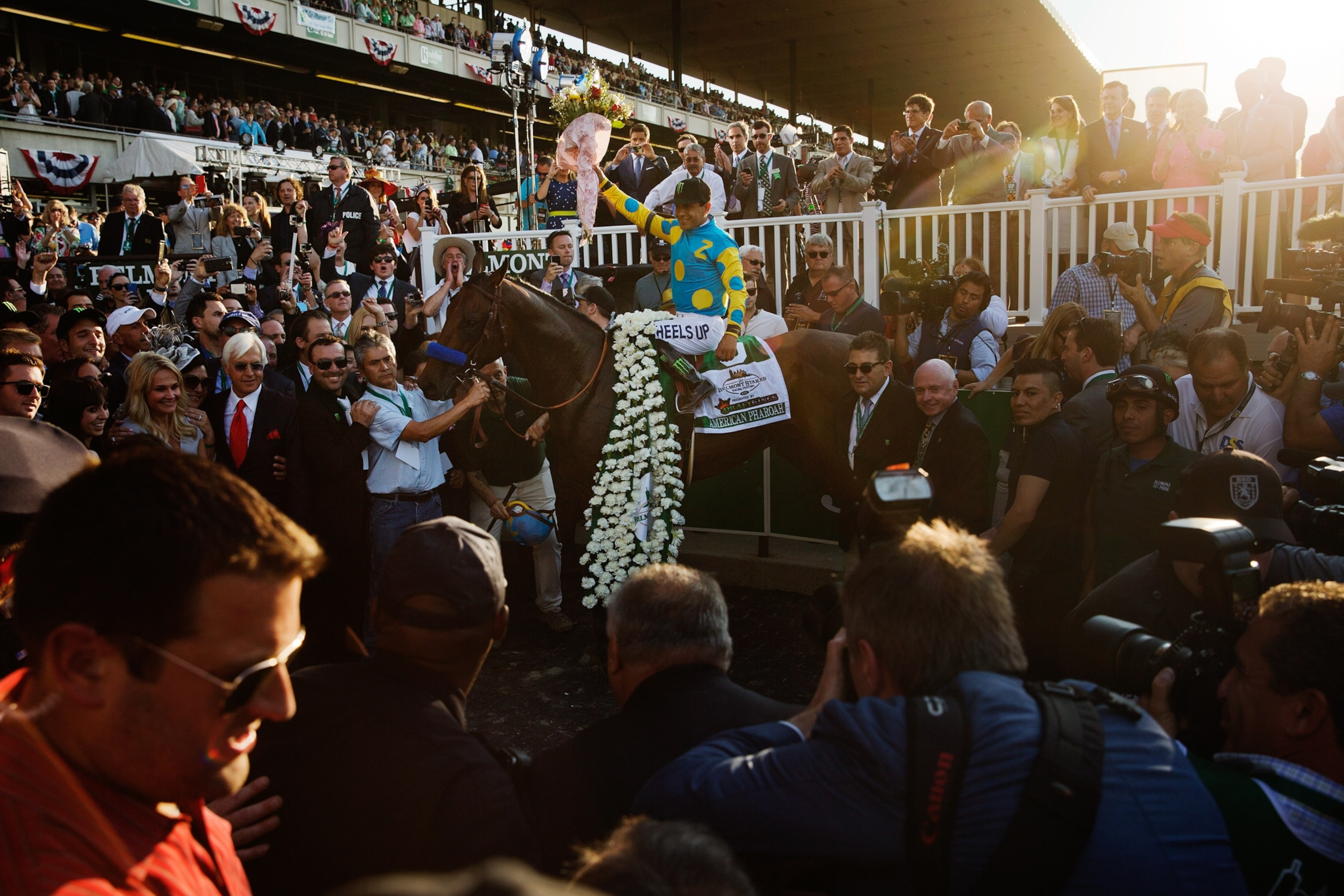 A jockey in a colorful uniform celebrating on a racehorse draped in a white flower garland.
