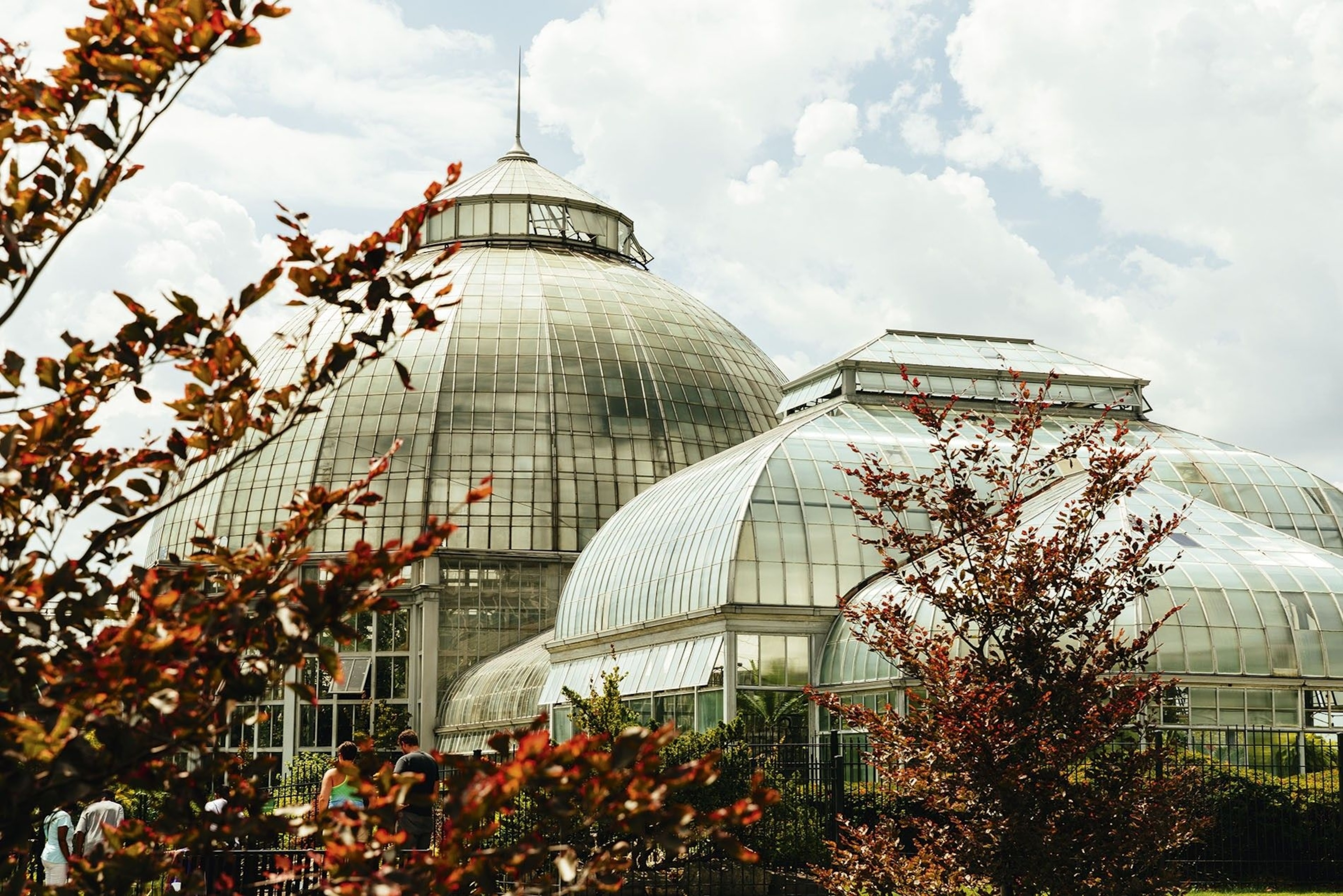 The Anna Scripps Whitcomb Conservatory, Belle Isle.