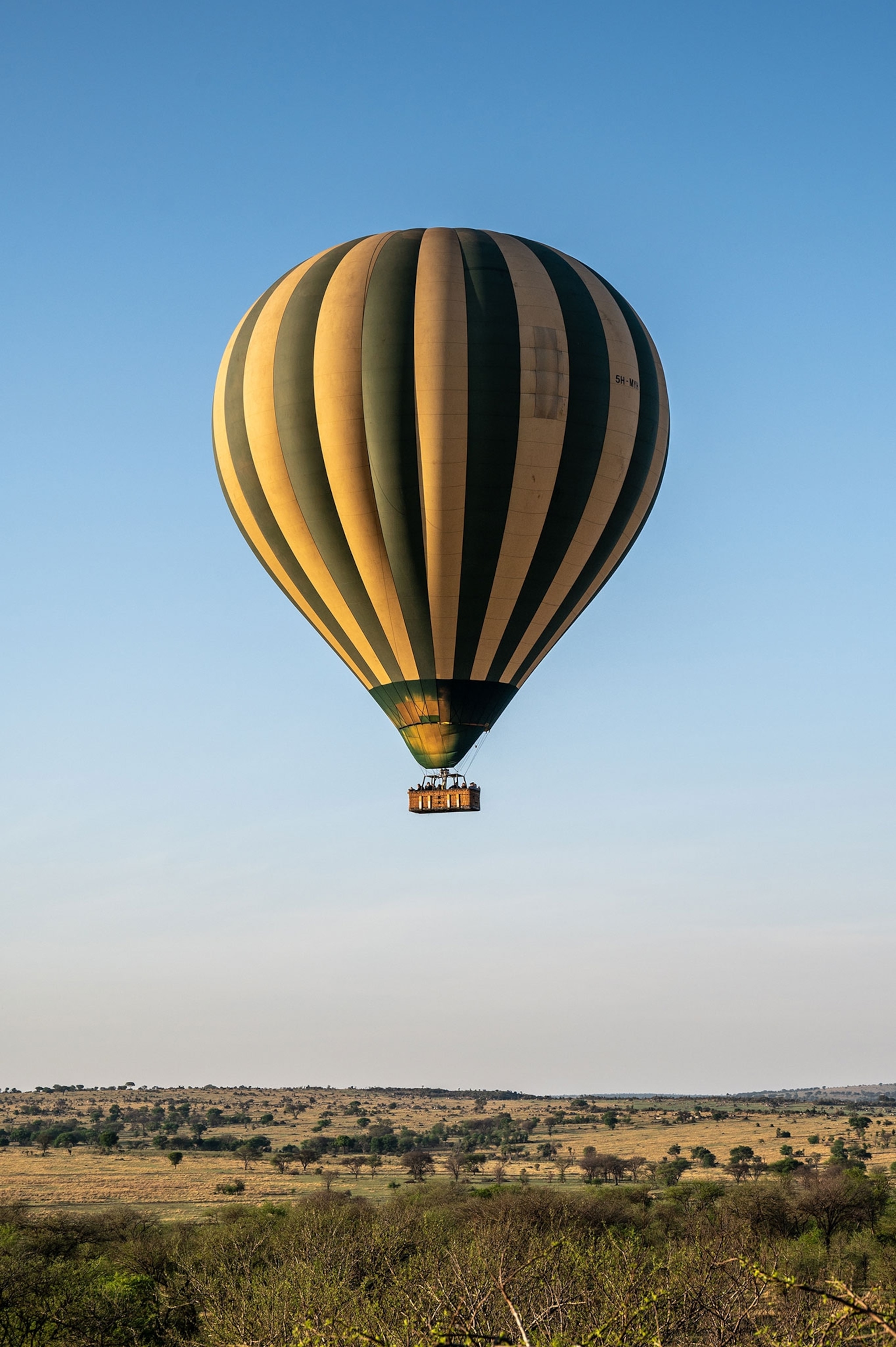A balloon under a blue sky.