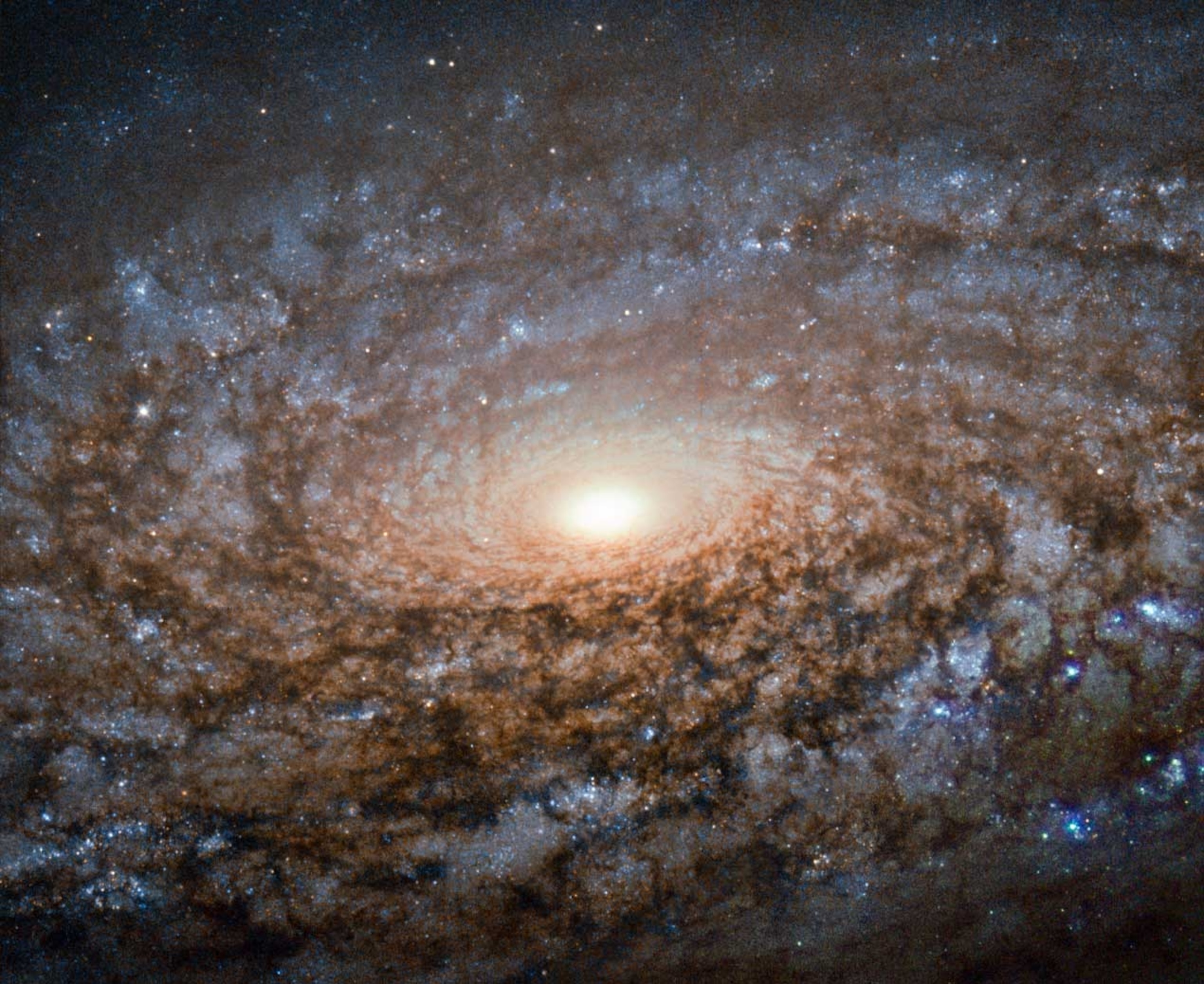 spiral galaxy NGC 3521