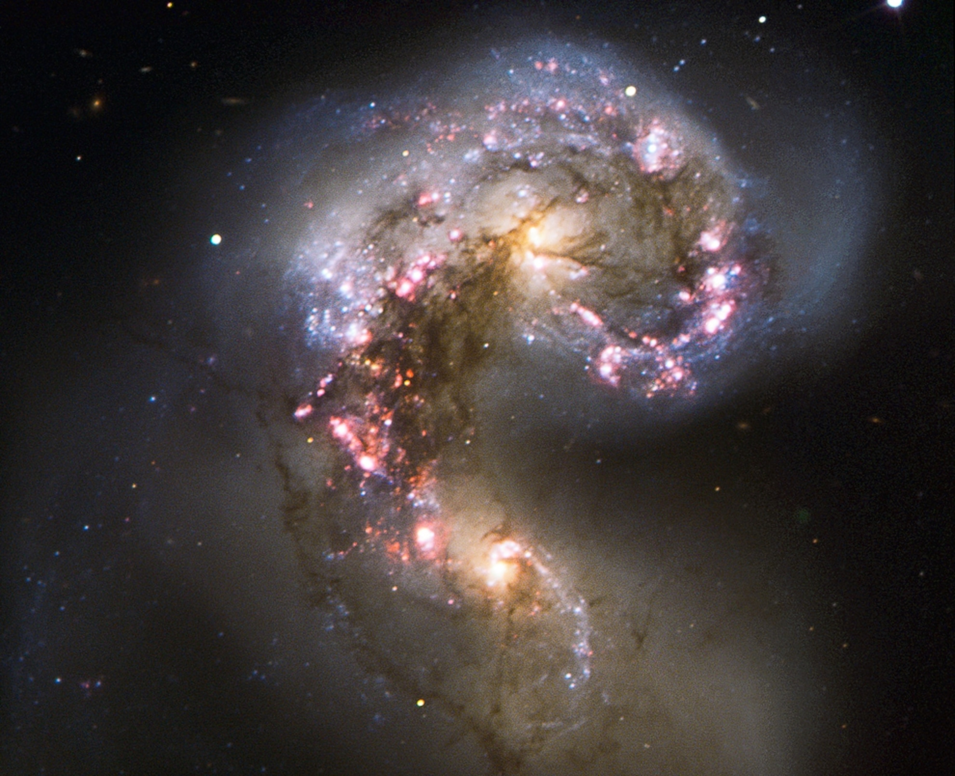 Galaxies picture: An optical-light view of the merging Antennae Galaxies