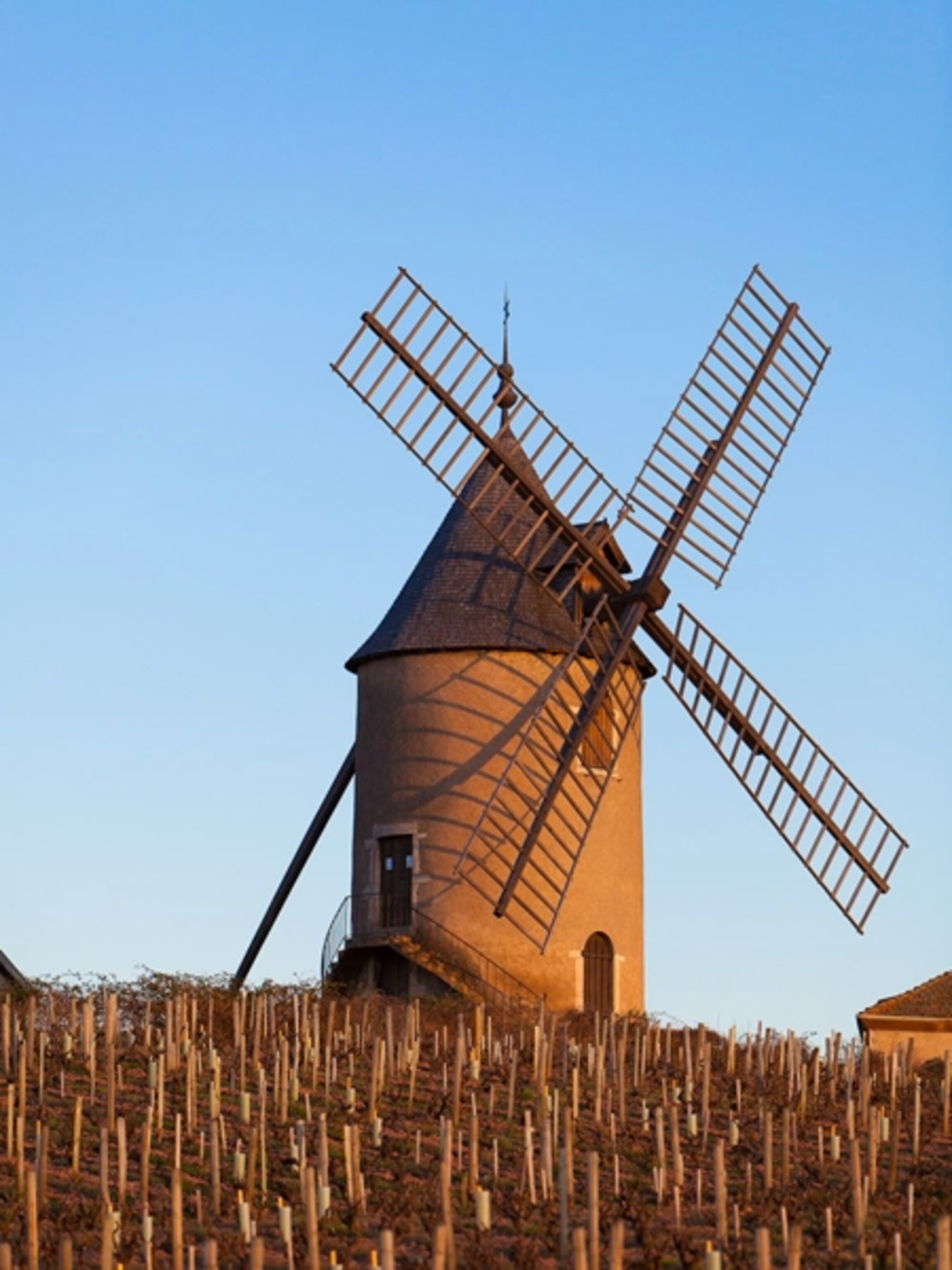 a windmill in Beaujolais