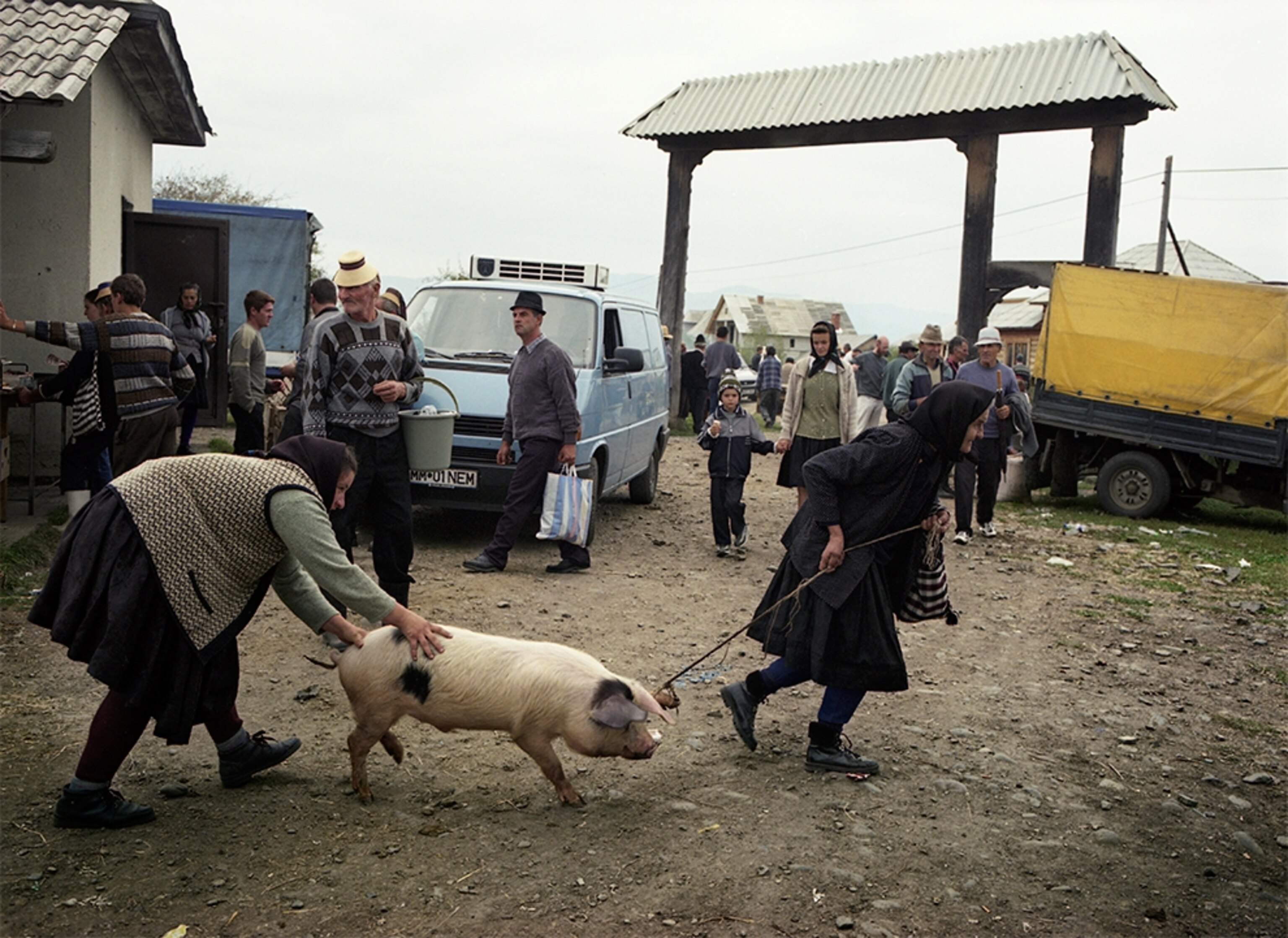 women and pig at village market, Romania