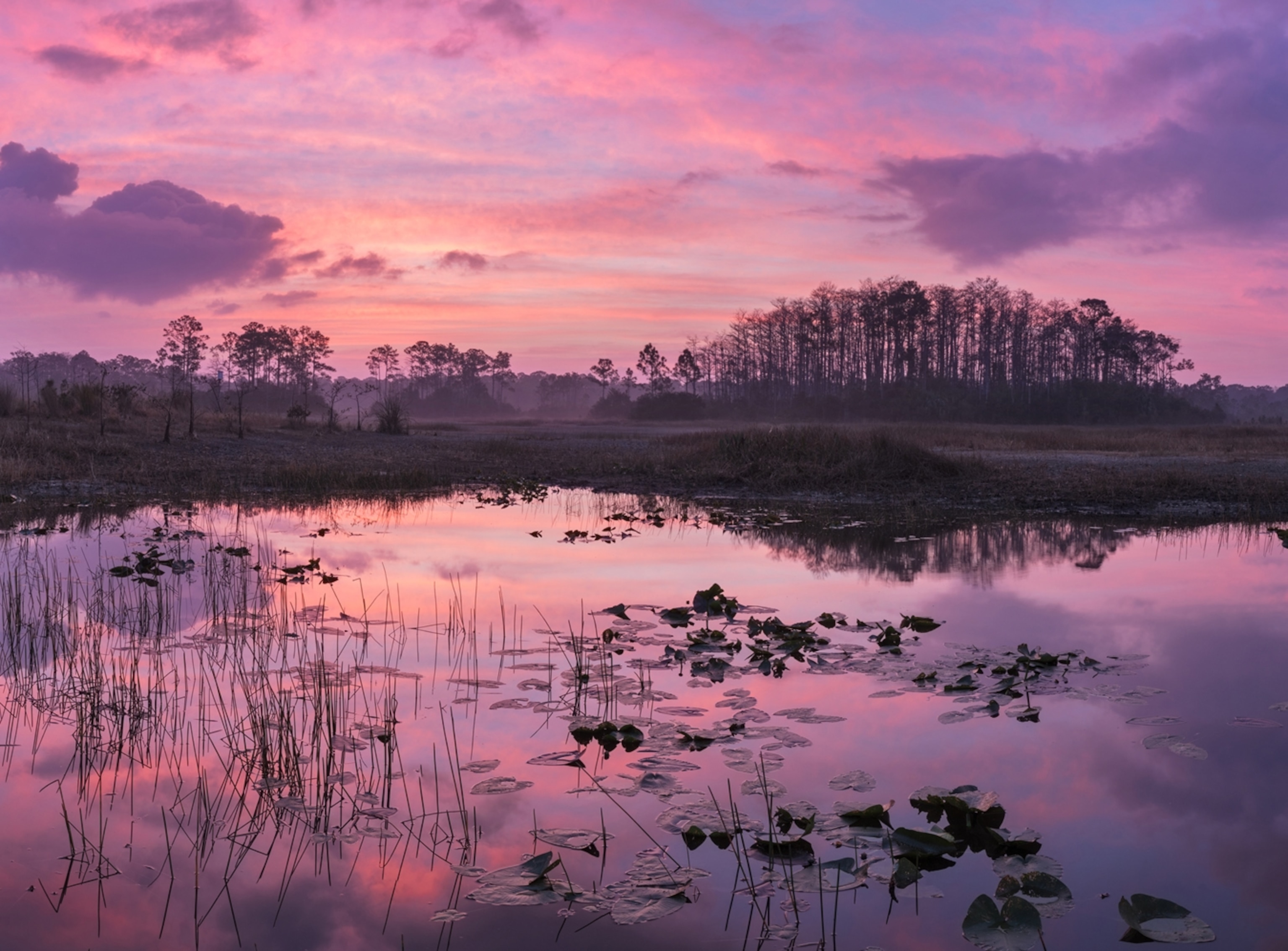 A pink and purple landscape
