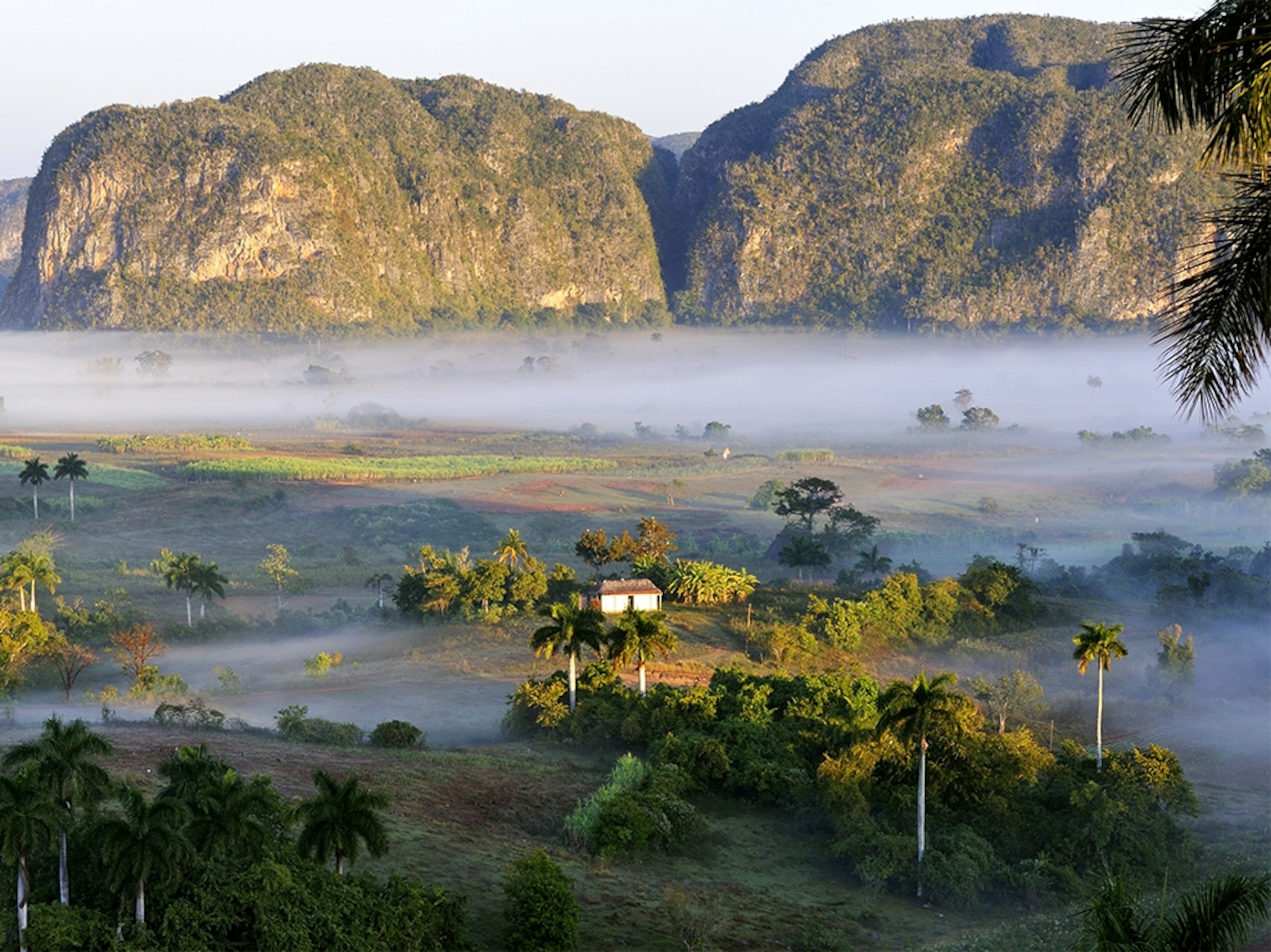 mist over Vinales, Cuba