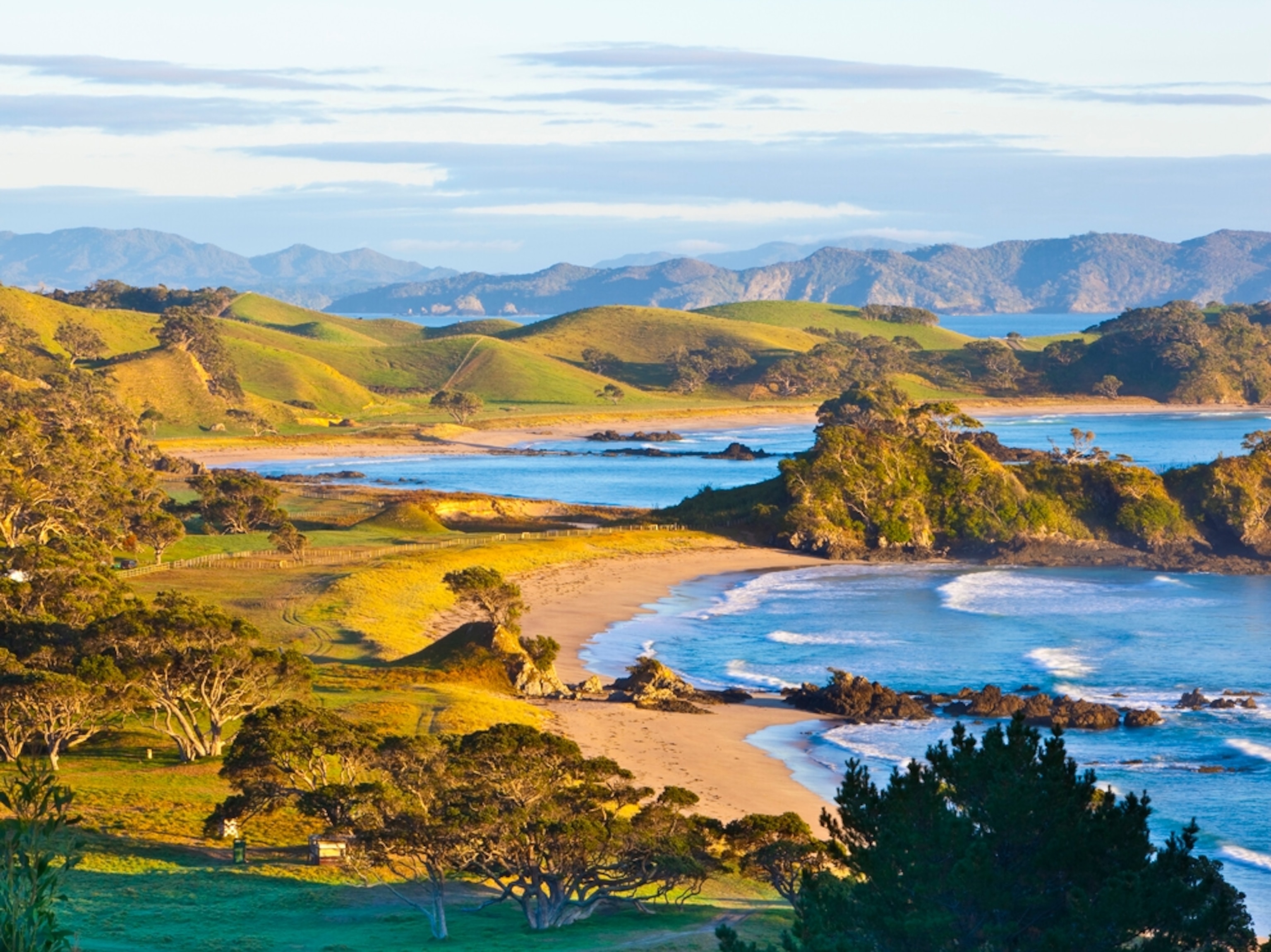 New Zealand coast island