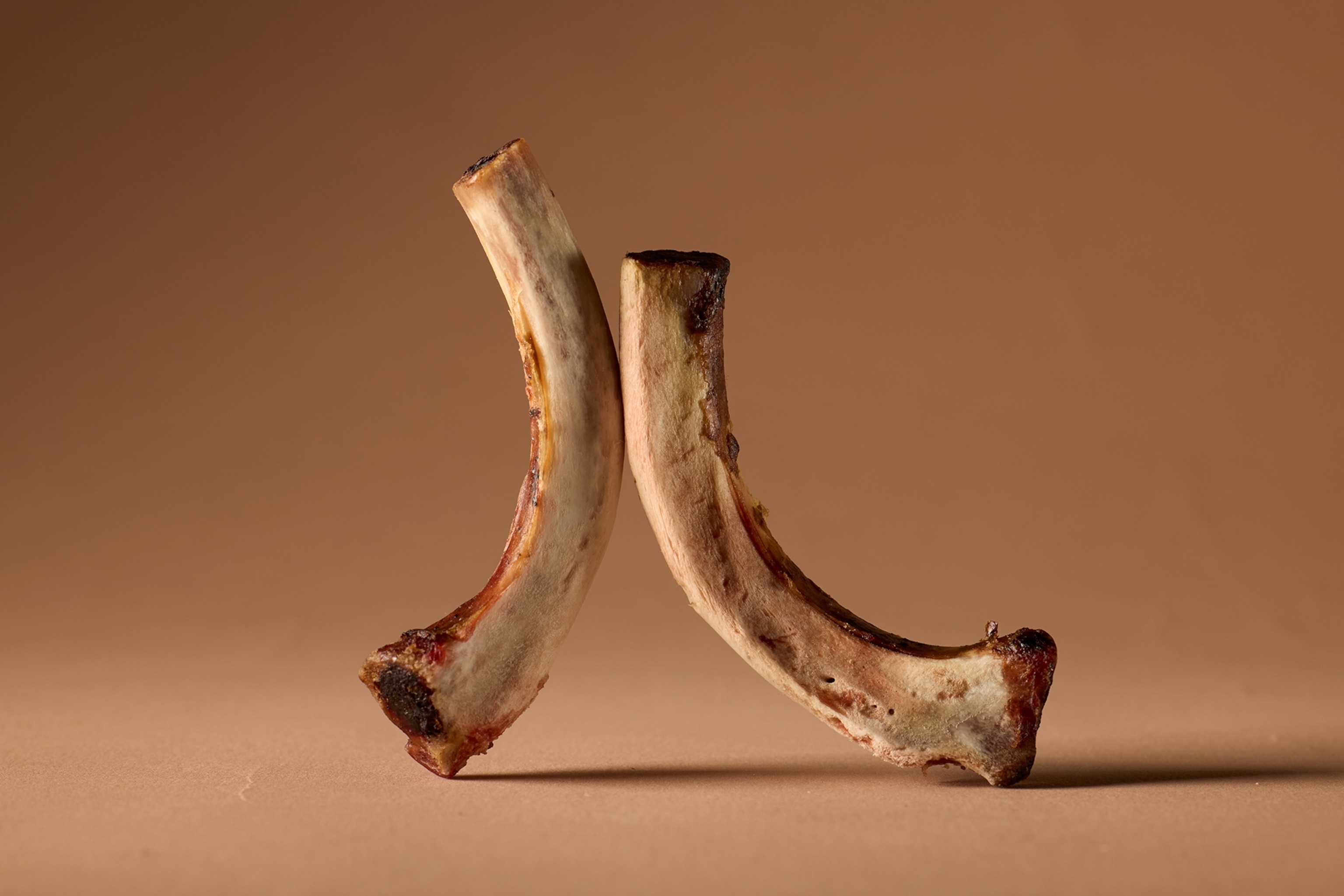 Two pork ribs lean against each other.