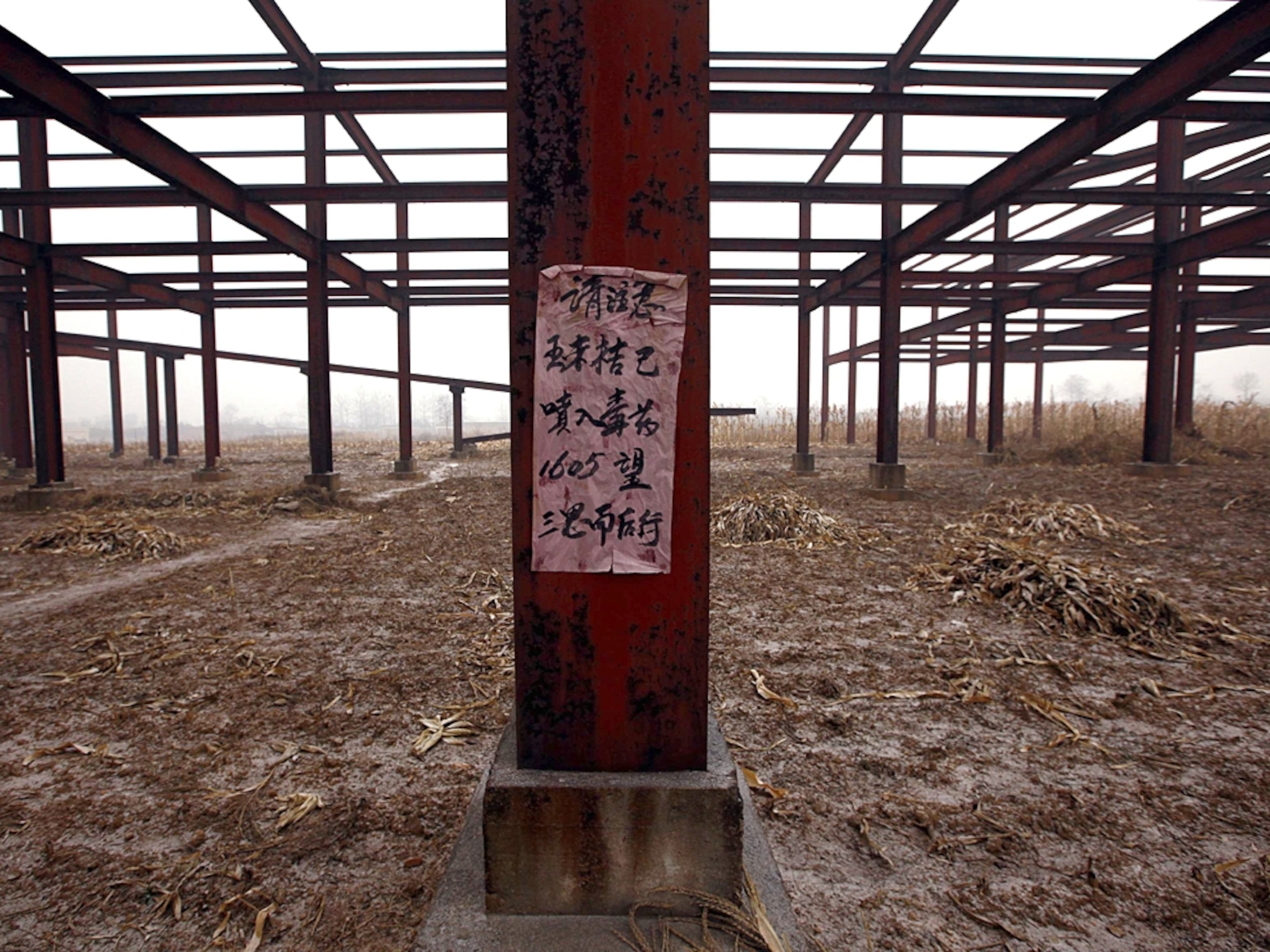 China fake Disneyland picture: a sign warning of potential poisons in soil, for a gallery on Wonderland, an abandoned project to build an amusement park outside of Beijing, China