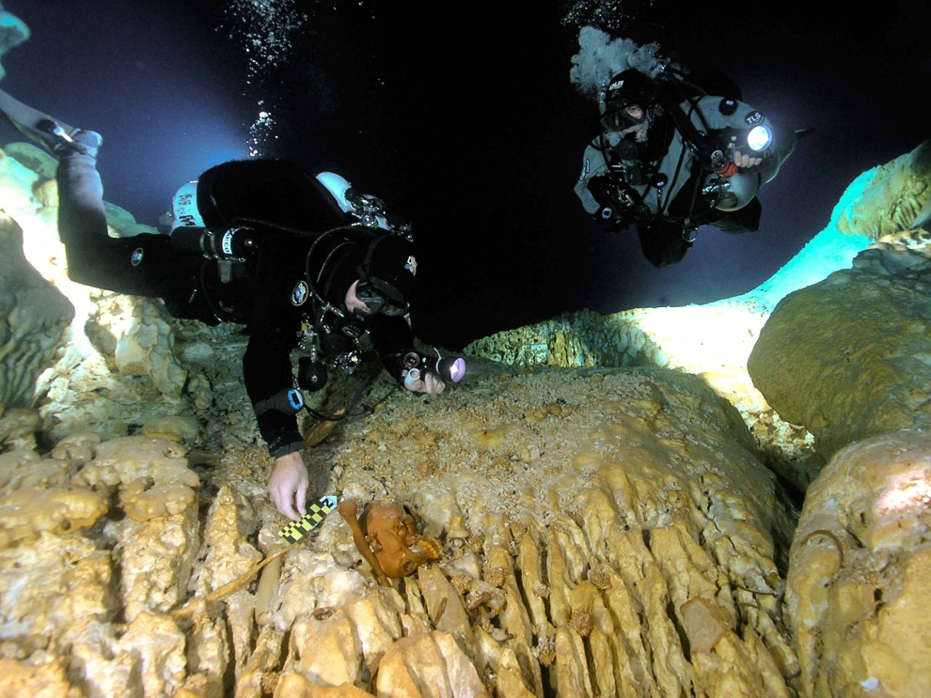 Ancient skull in underwater cave (picture): Divers place markers near a skull in a cave in Mexico -- maybe from one of the first Americans