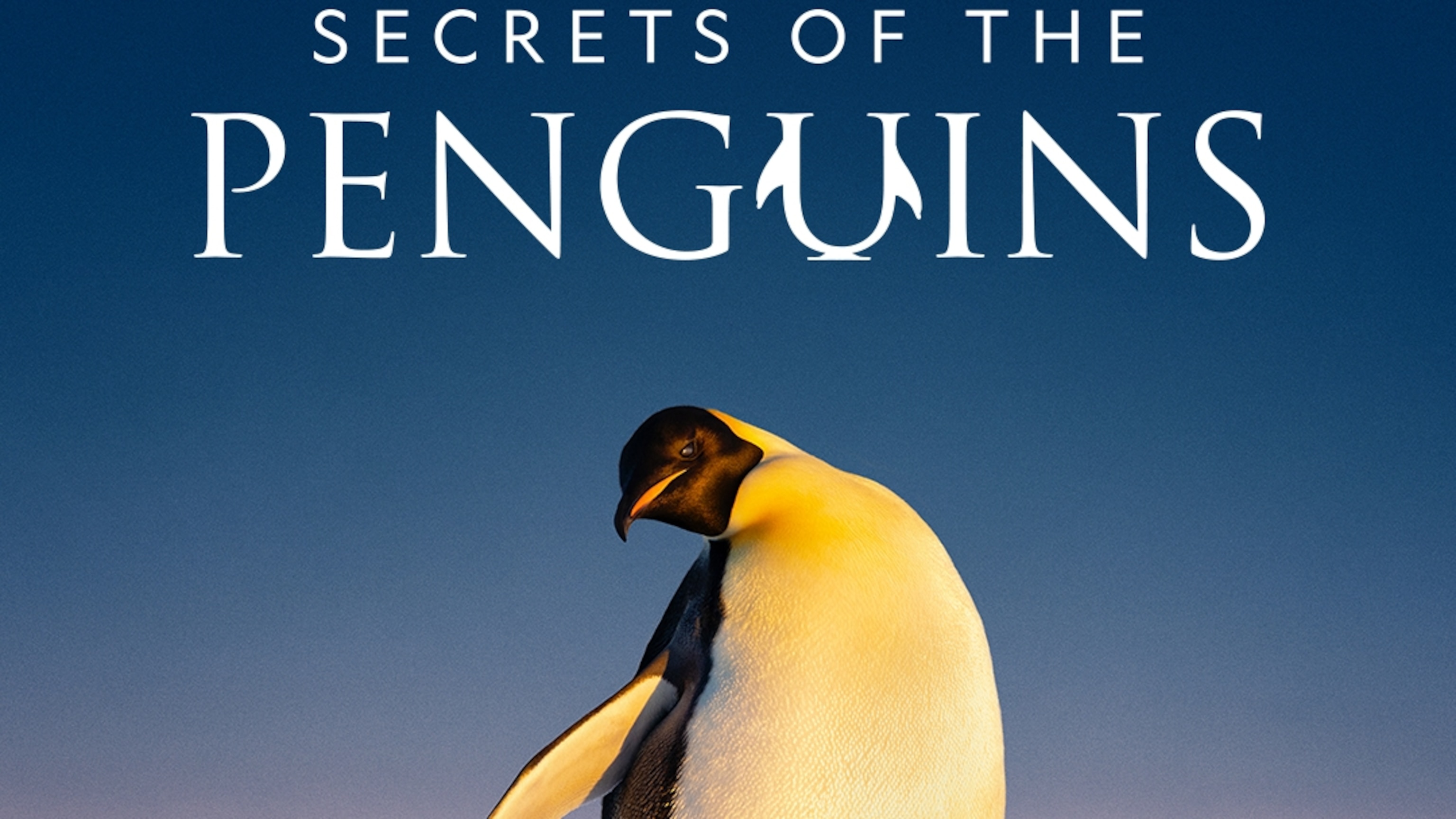 Secrets of the Penguins