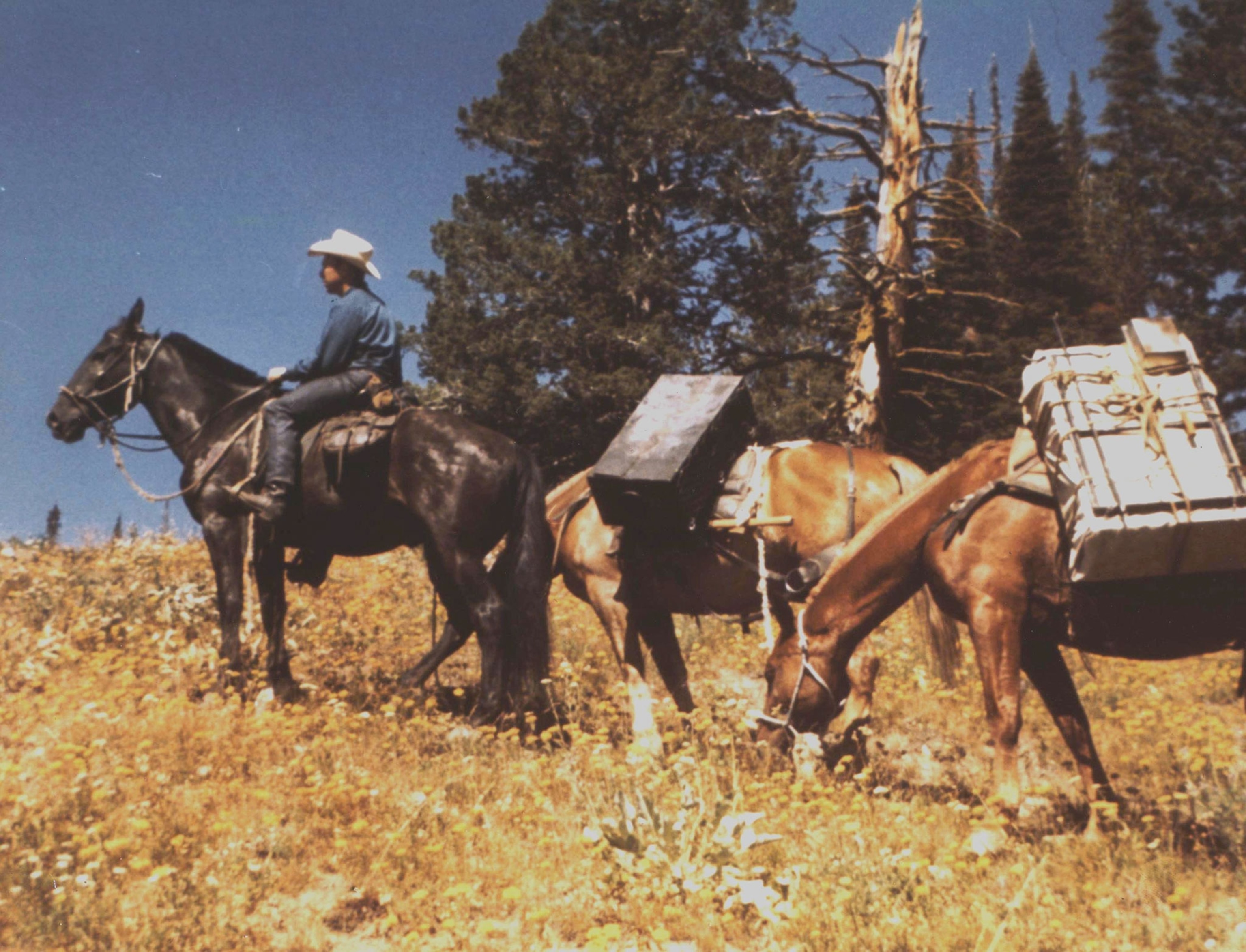 Smoke Elser on a horse in 1964