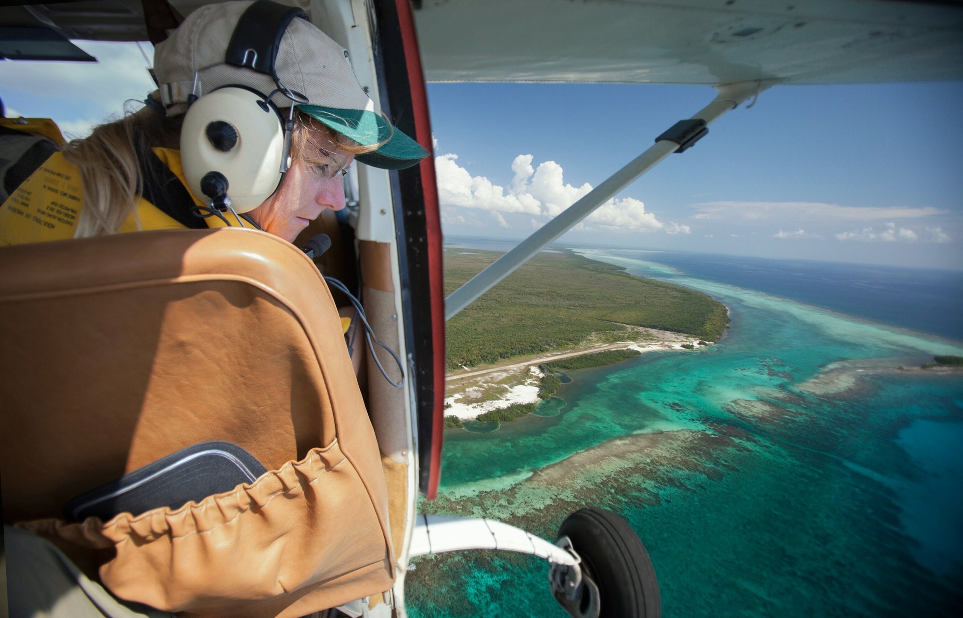 a scientist looking for manatees from a small airplane over Belize