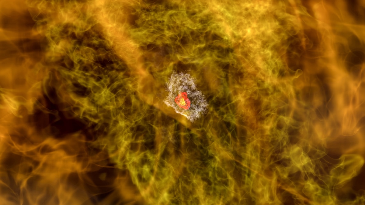 This is what the first stars looked like as they were being born