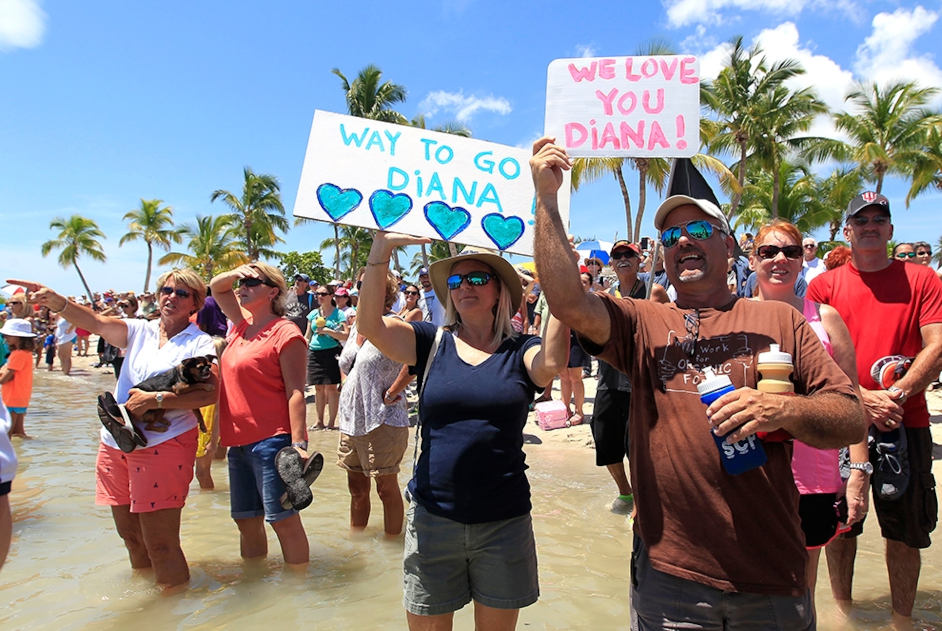 fans cheering for Diana Nyad