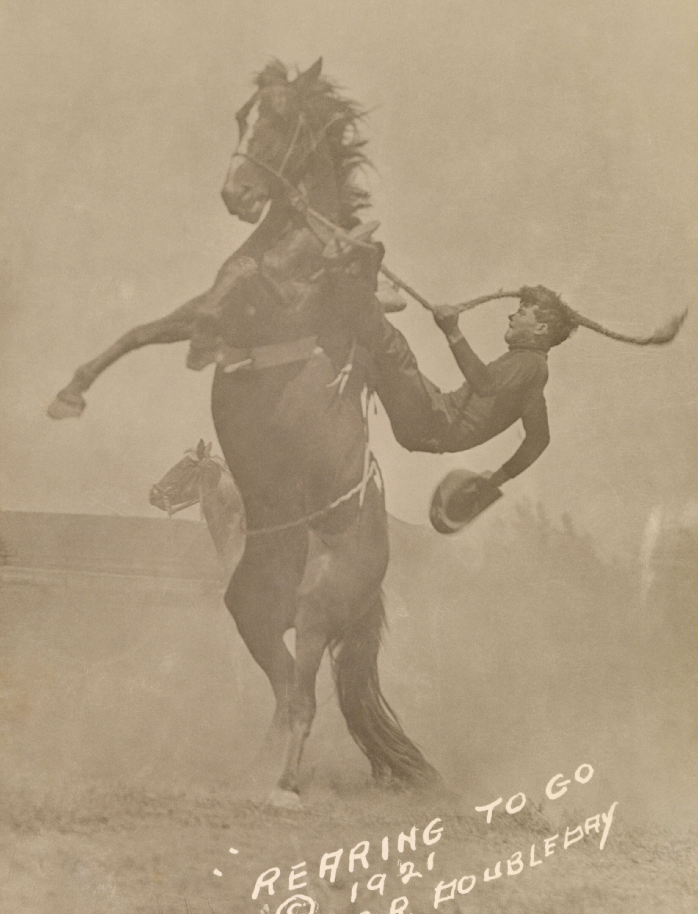 a rider gripping to his rope as a wild stallion rears back