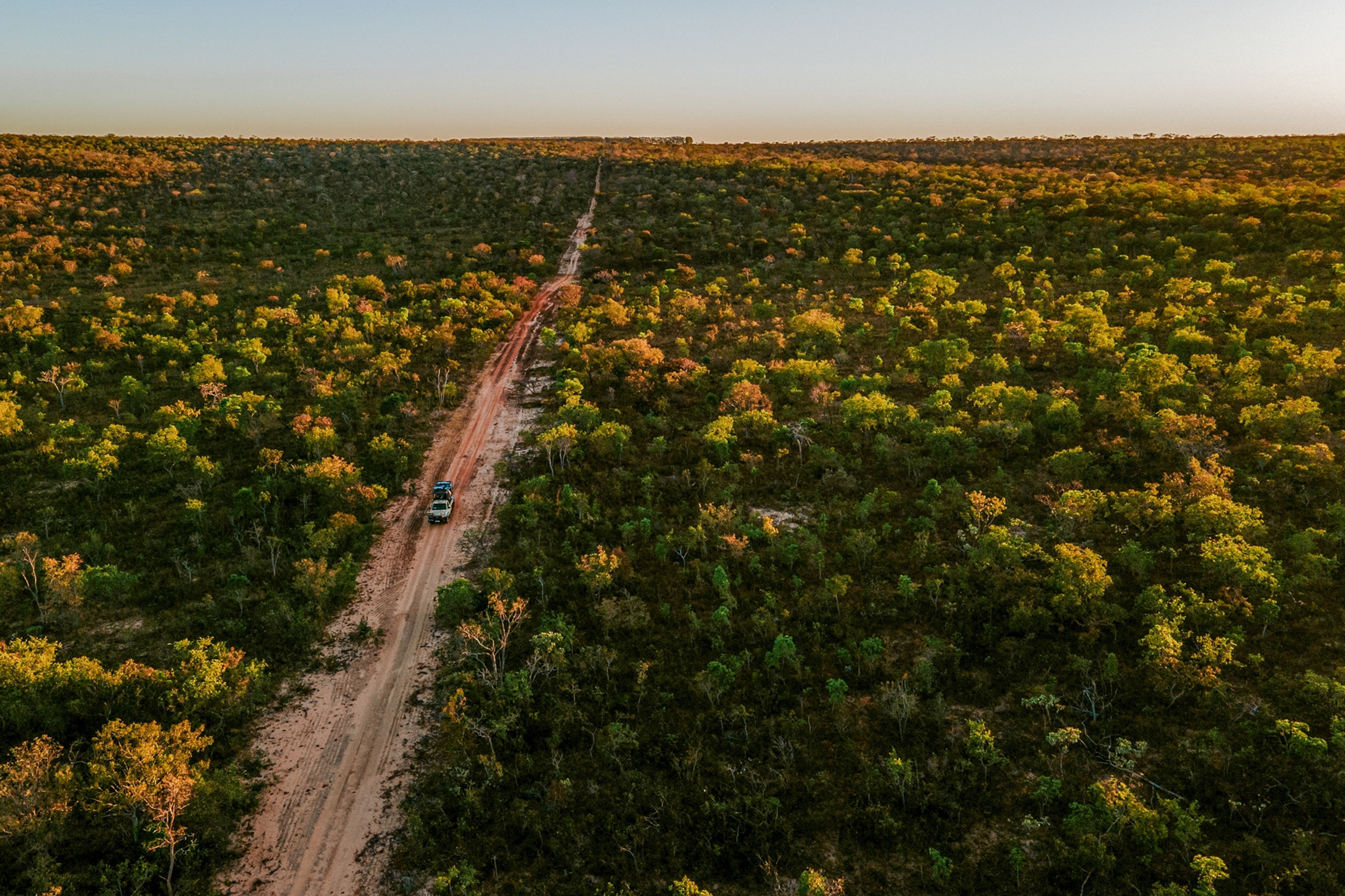 A wide landscape shot of a lush safari landscape with a sandy path leading a safari car through the scenery.