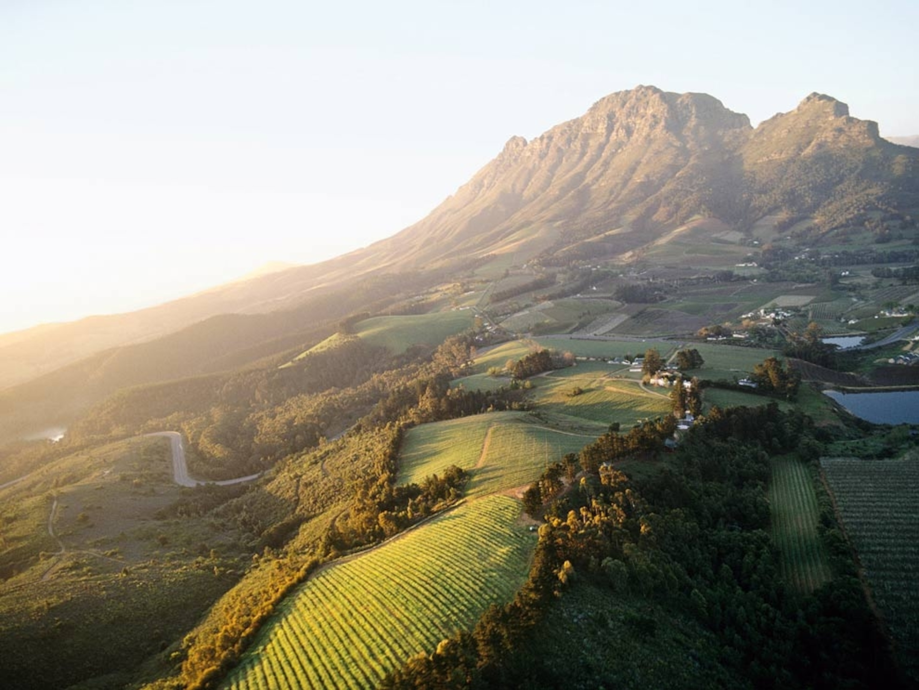 Green fields with mountain in background