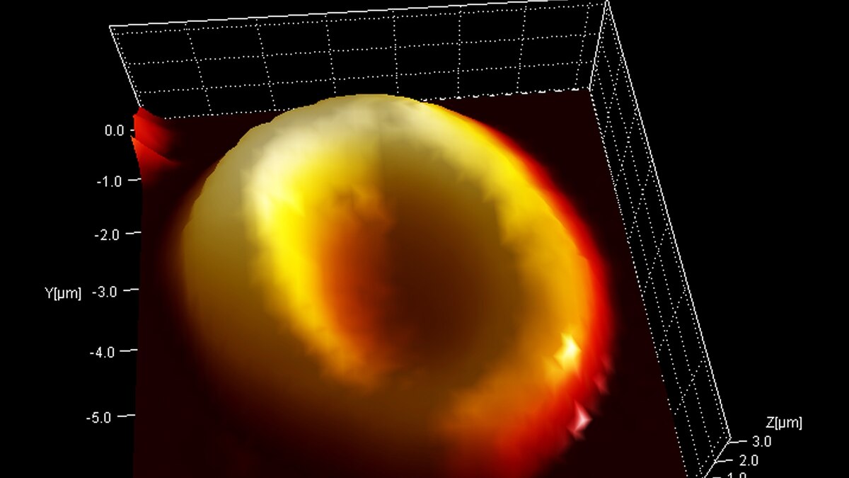 World's Oldest Blood Found in Famed \