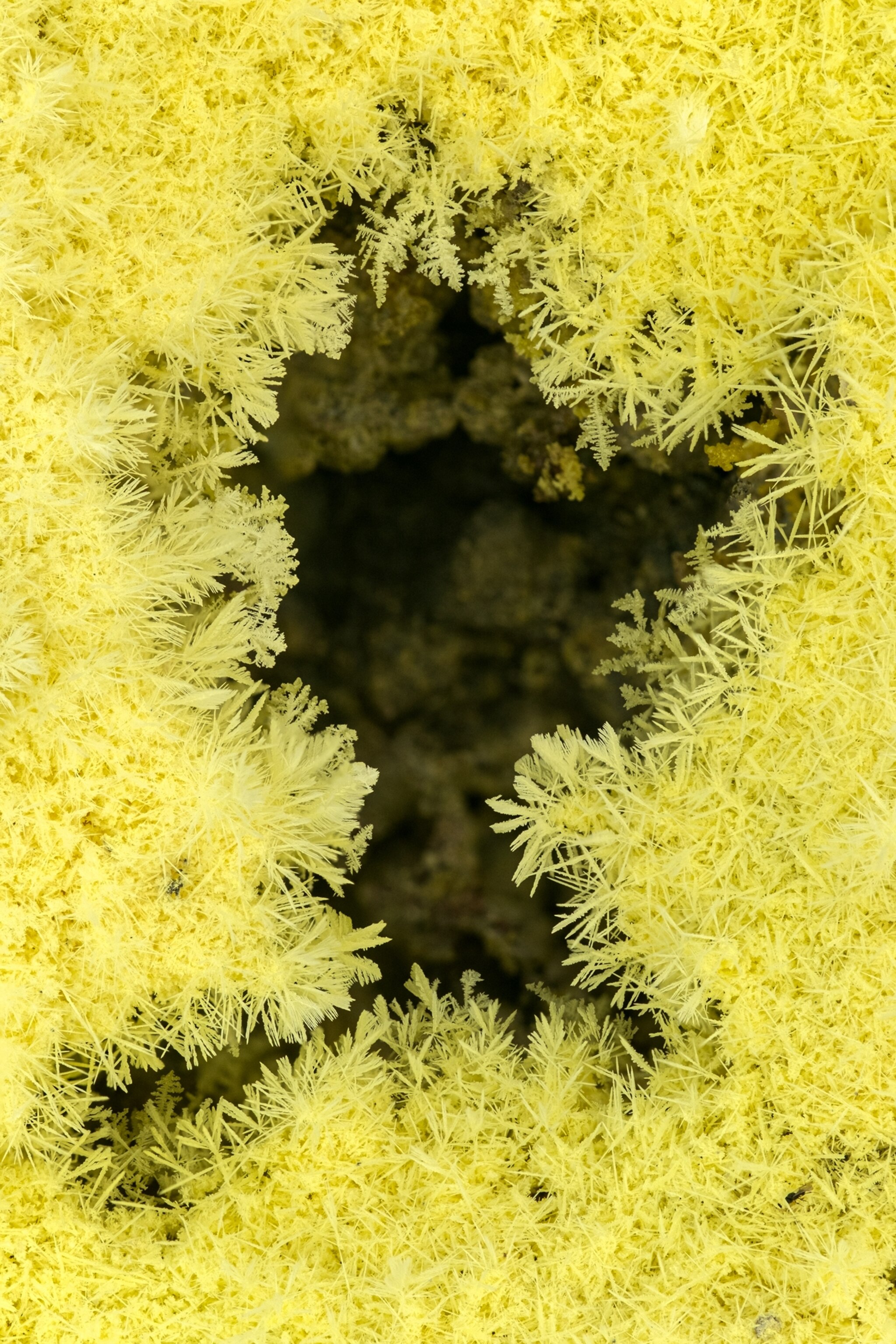 A close-up view of yellow, crystalized sulfur, which appears almost like a collection of yellow snowflakes