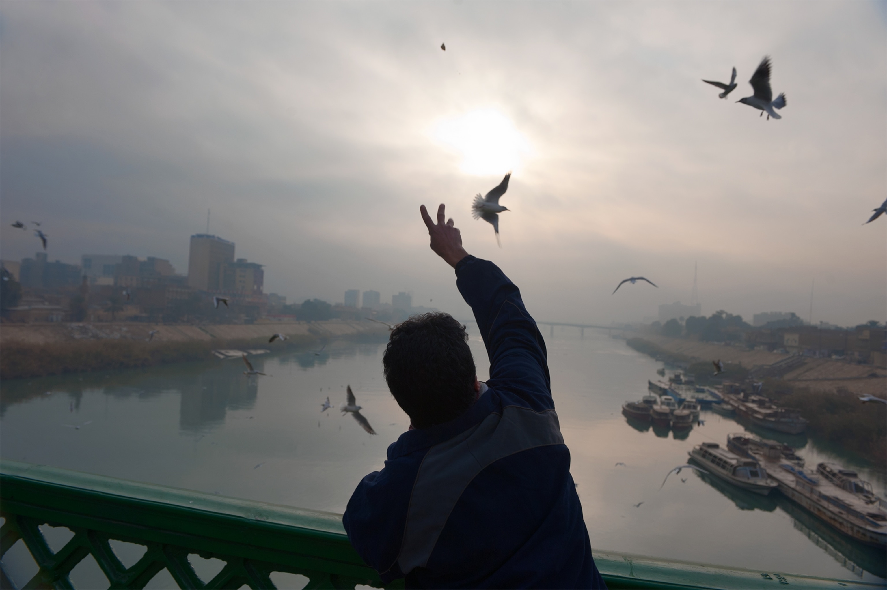 an Iraqi man feeding the seagulls at dawn in Baghdad, Iraq
