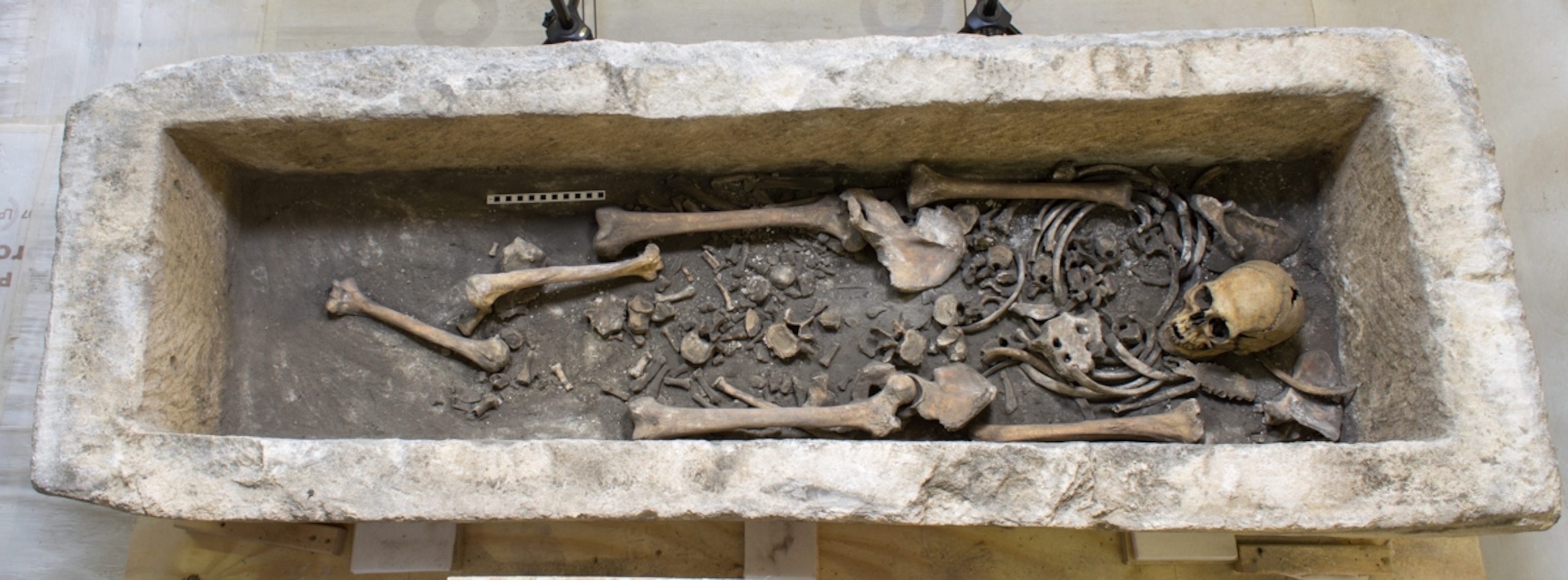 A stone coffin contains the partial skeletal remains of a human, with a skull, ribs, leg bones, and smaller bone fragments arranged within the rectangular stone burial chamber.