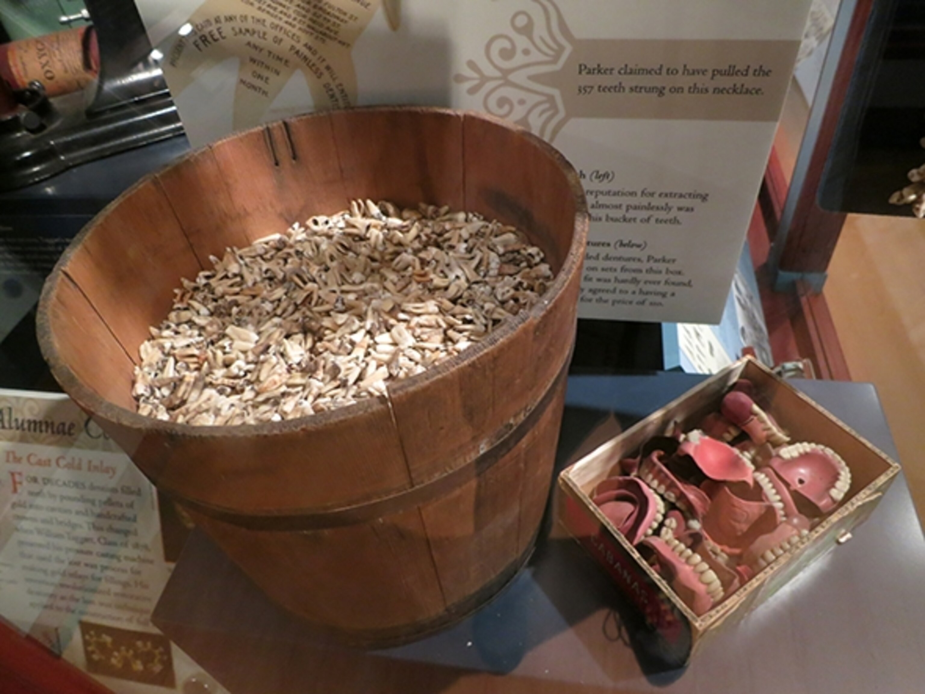 Dentist Edgar Parker's bucket of teeth. (Photograph by Robert Reid)