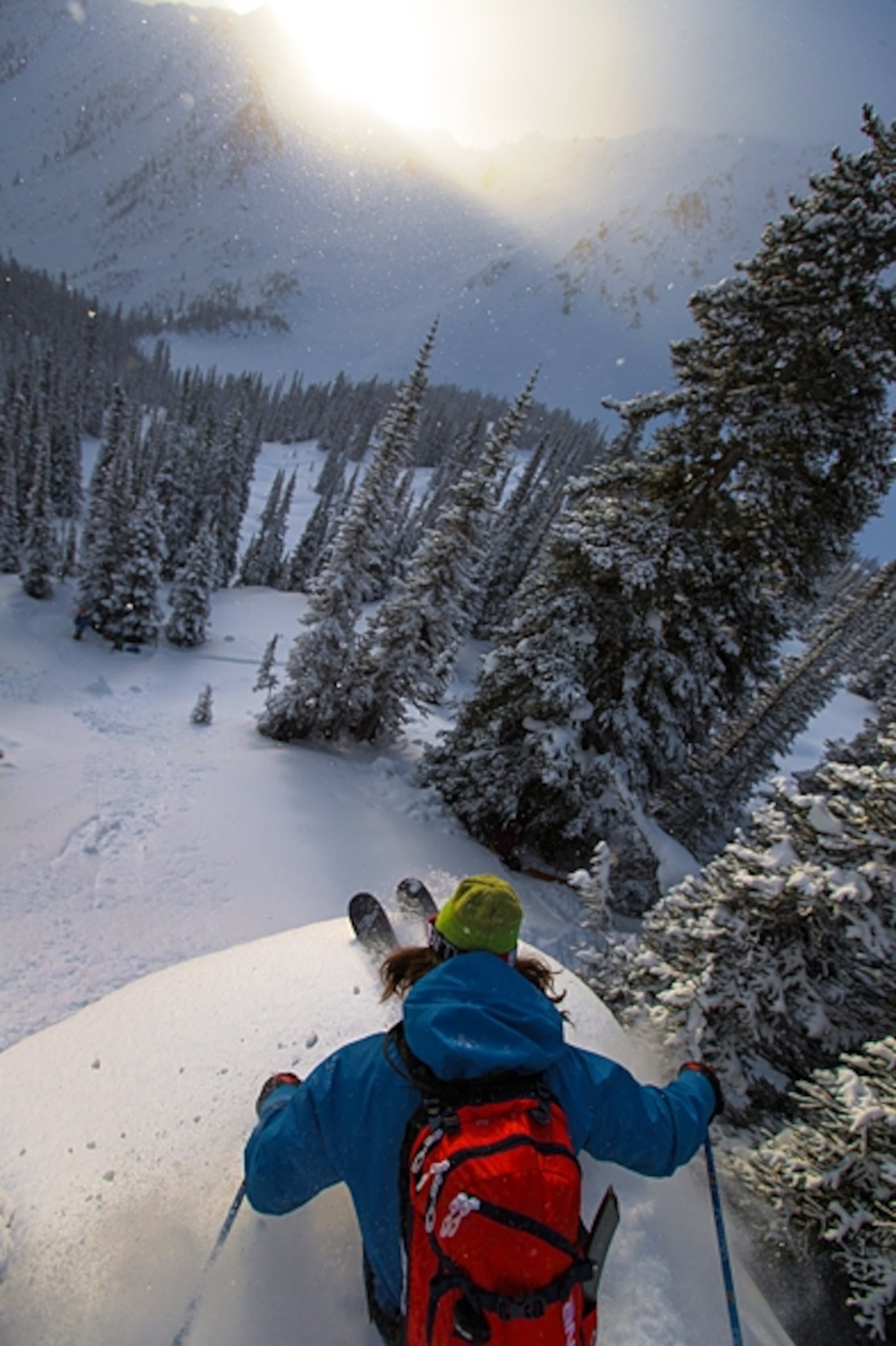 Golden Alpine Holiday, British Columbia; Photograph by Will Wissman