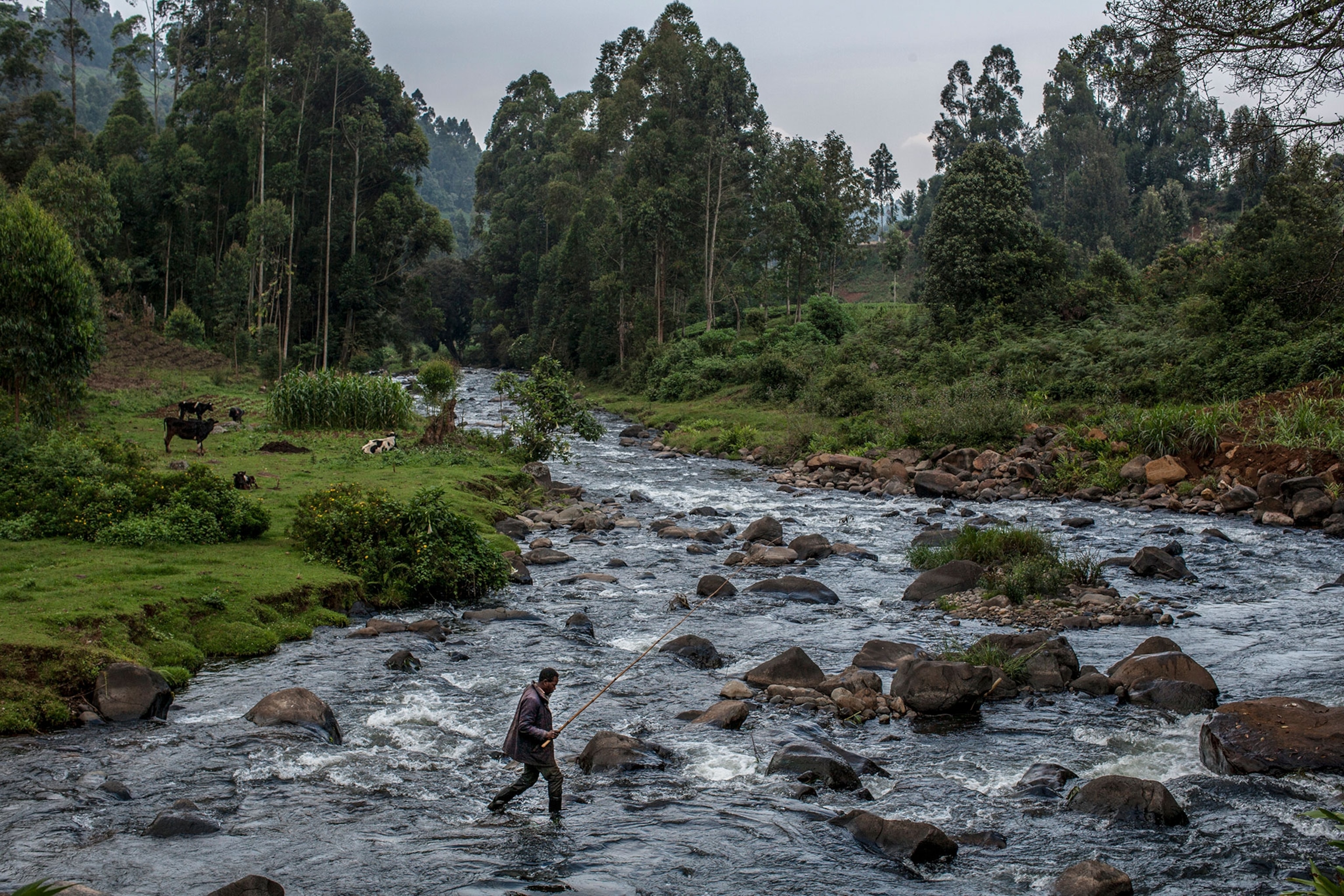 fly fishing in Kenya