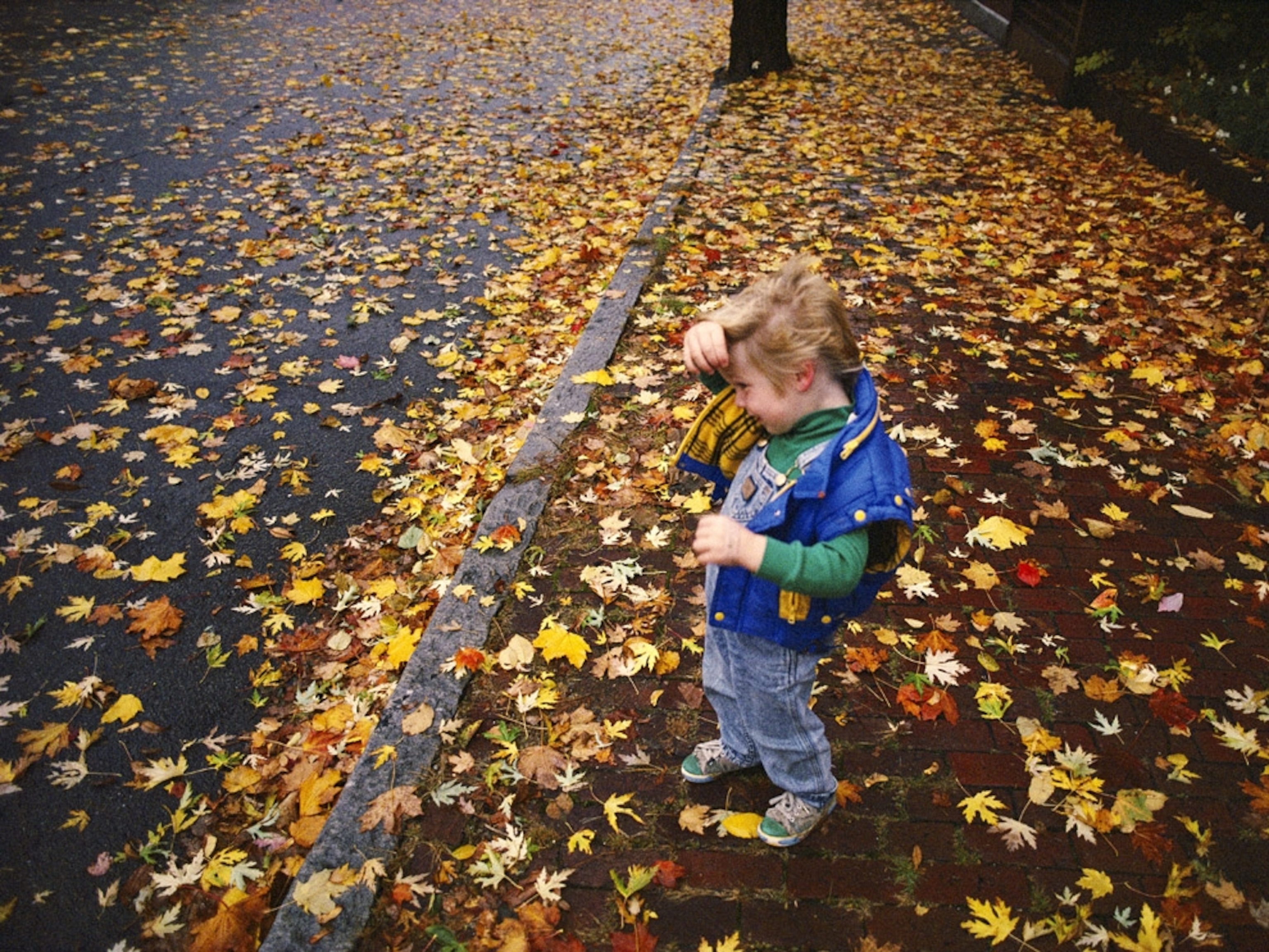Girl on a leafy sidewalk