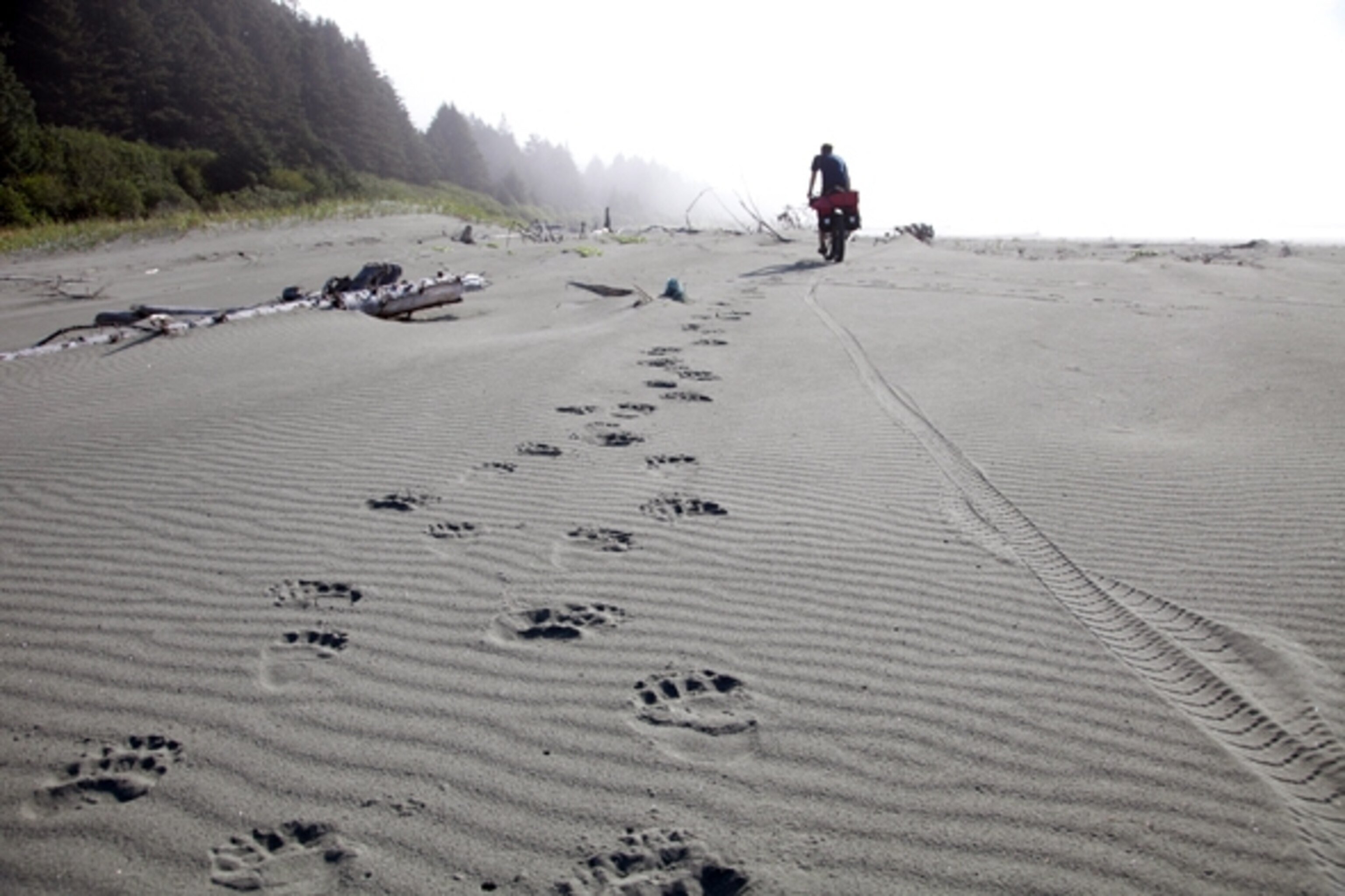 Alaska's Lost Coast in 2010; Photograph by Cameron Lawson