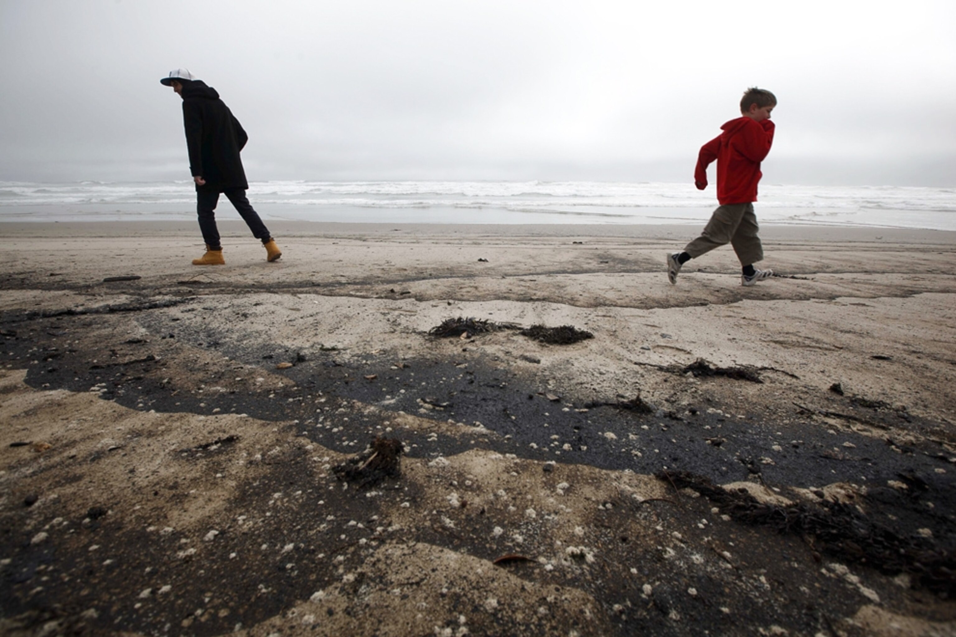 New Zealand oil spill picture: blackened beach