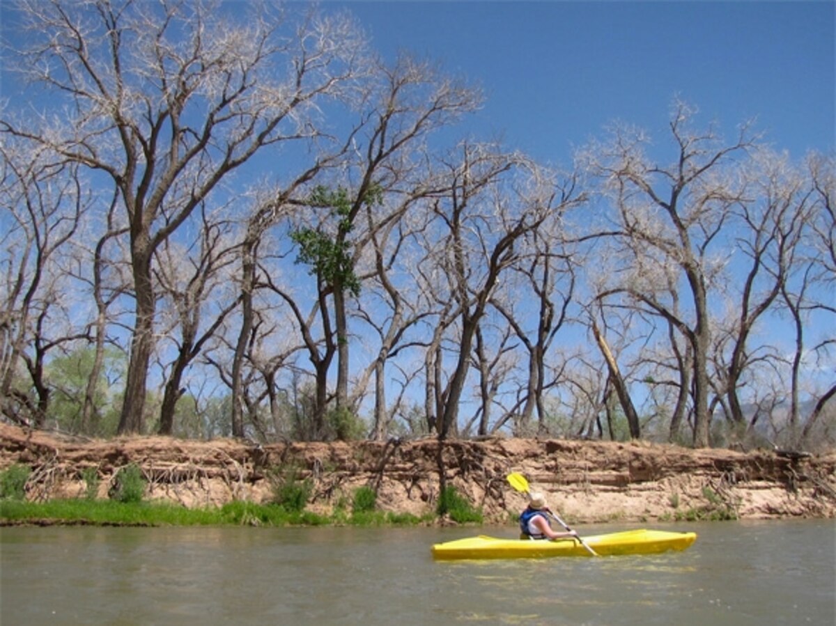 Paddling the Rio Grande