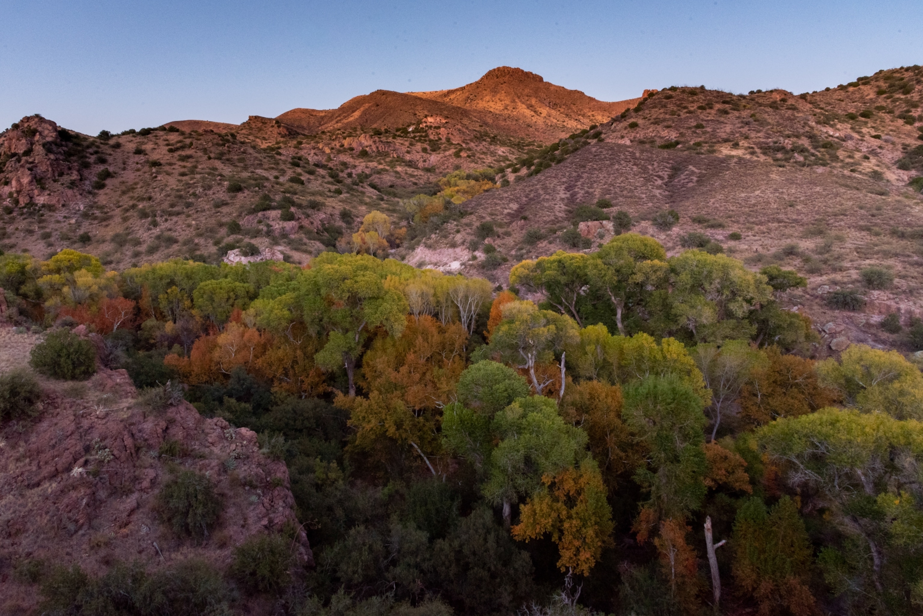 a landscape near a stream on the US Mexico border