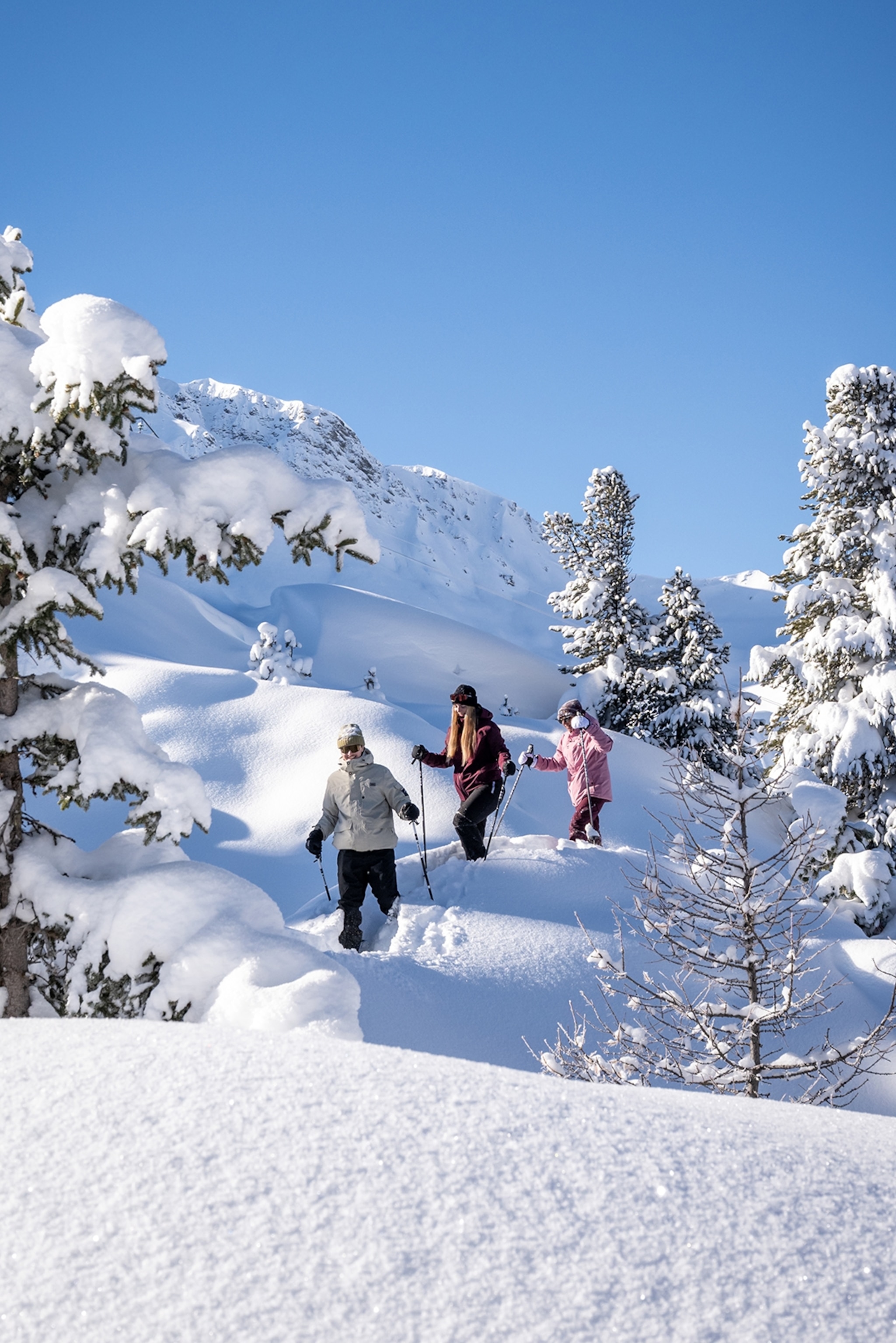 A small group of visitors wading through a snowy landscape with snowshoes.