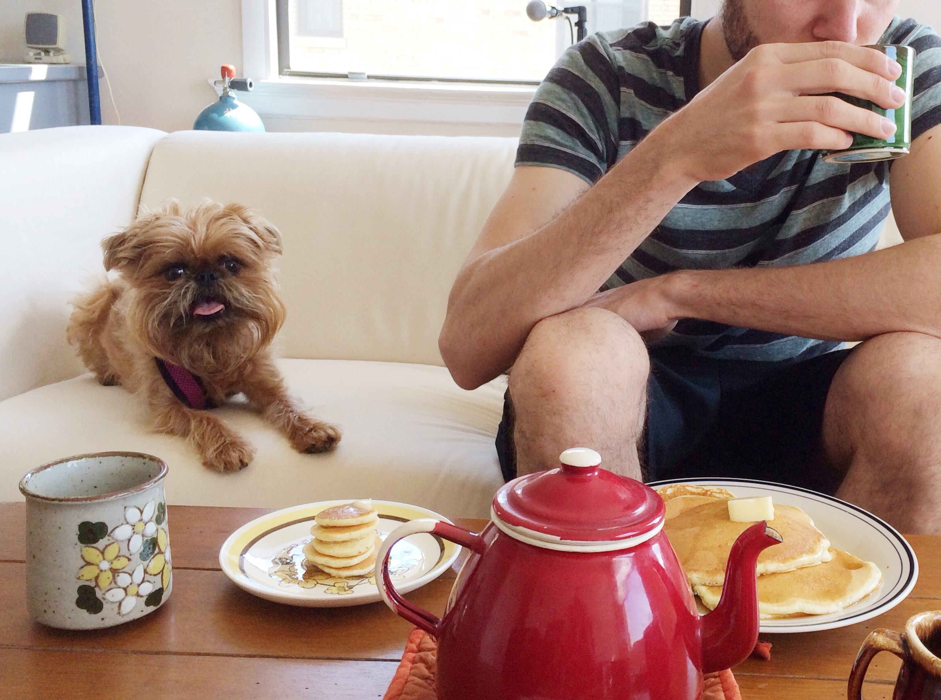 a little dog with a mini stack of pancakes
