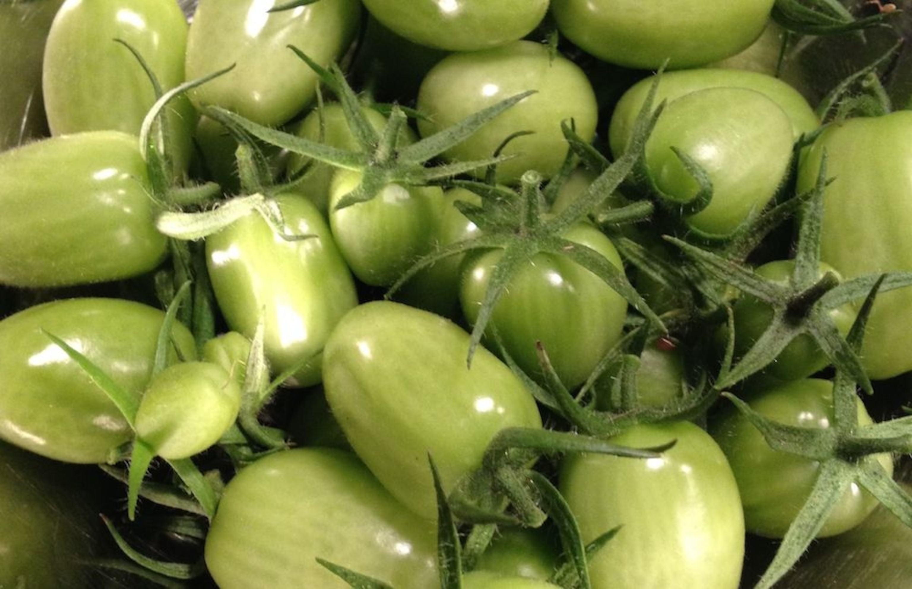 green tomatoes