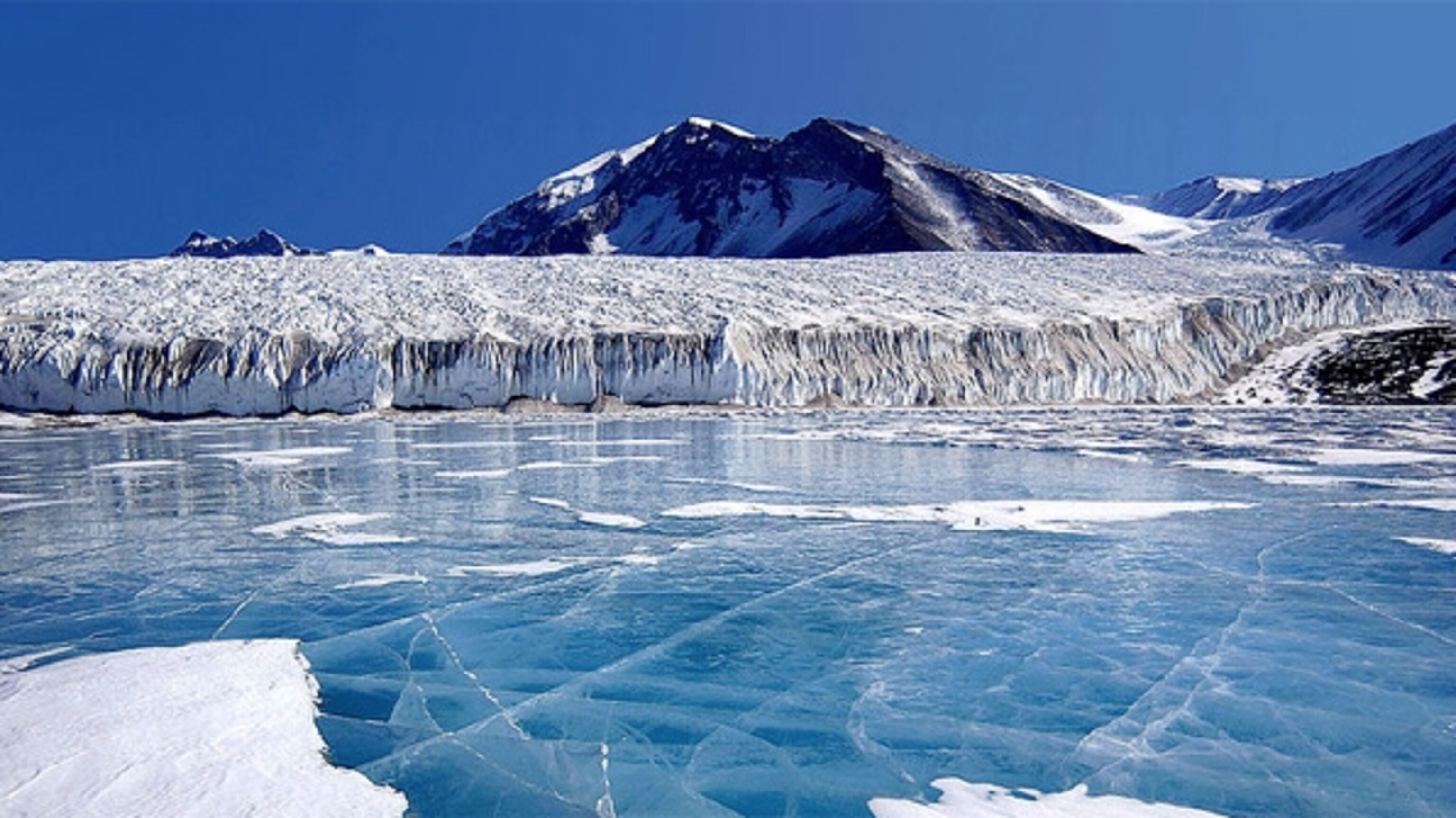 Scientists and tourists bring thousands of alien seeds into