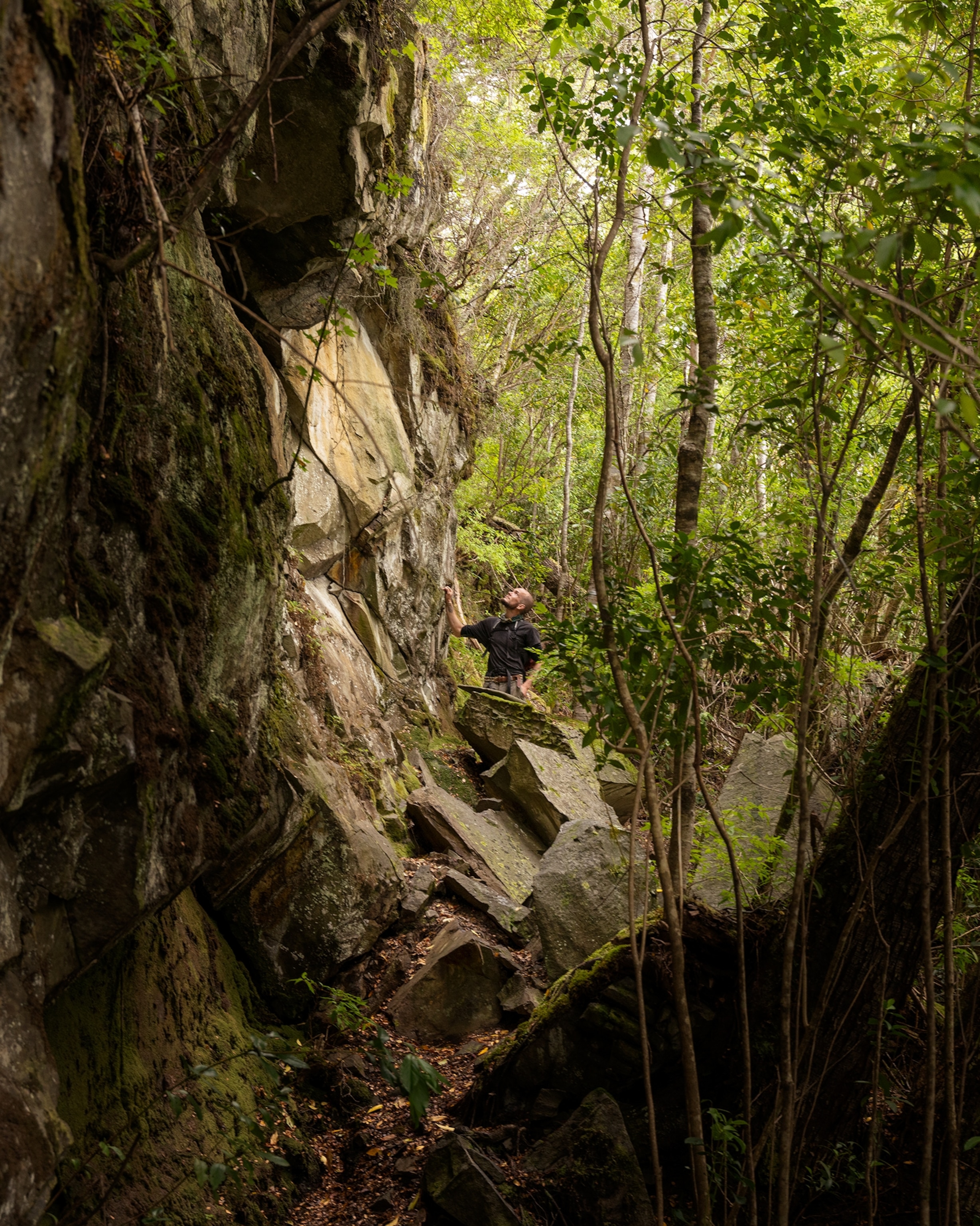 A person climbs over large rocks at the base of a steep forest cliff, surrounded by dense green vegetation and tall trees.
